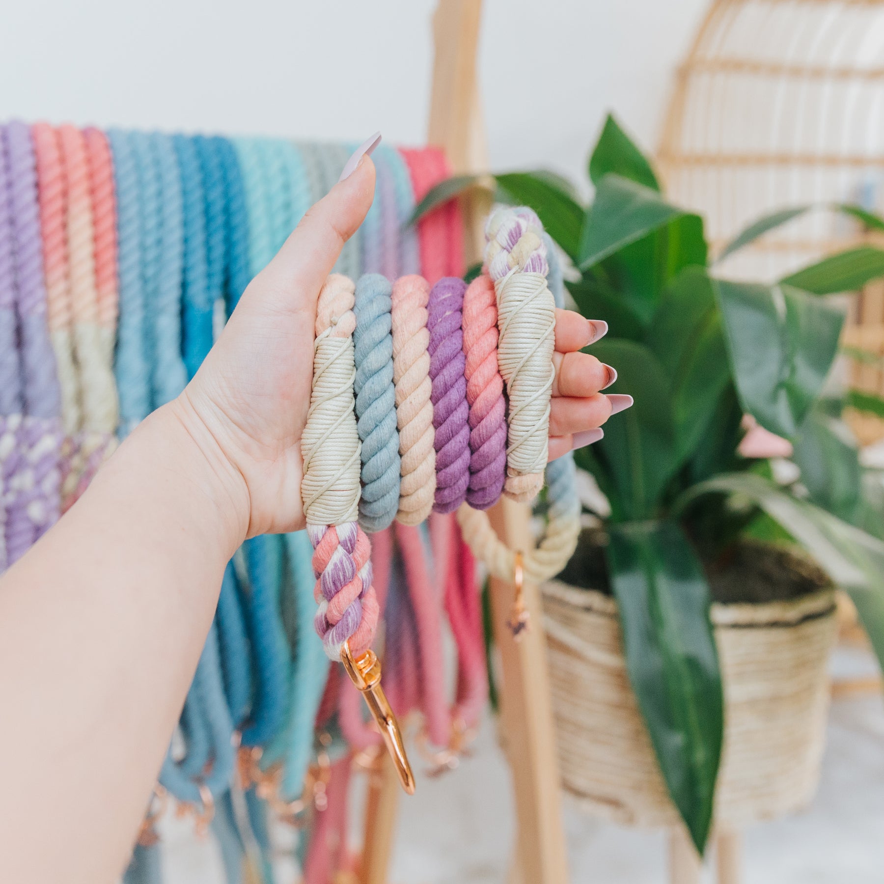 Dog Rope Leash - Macarons