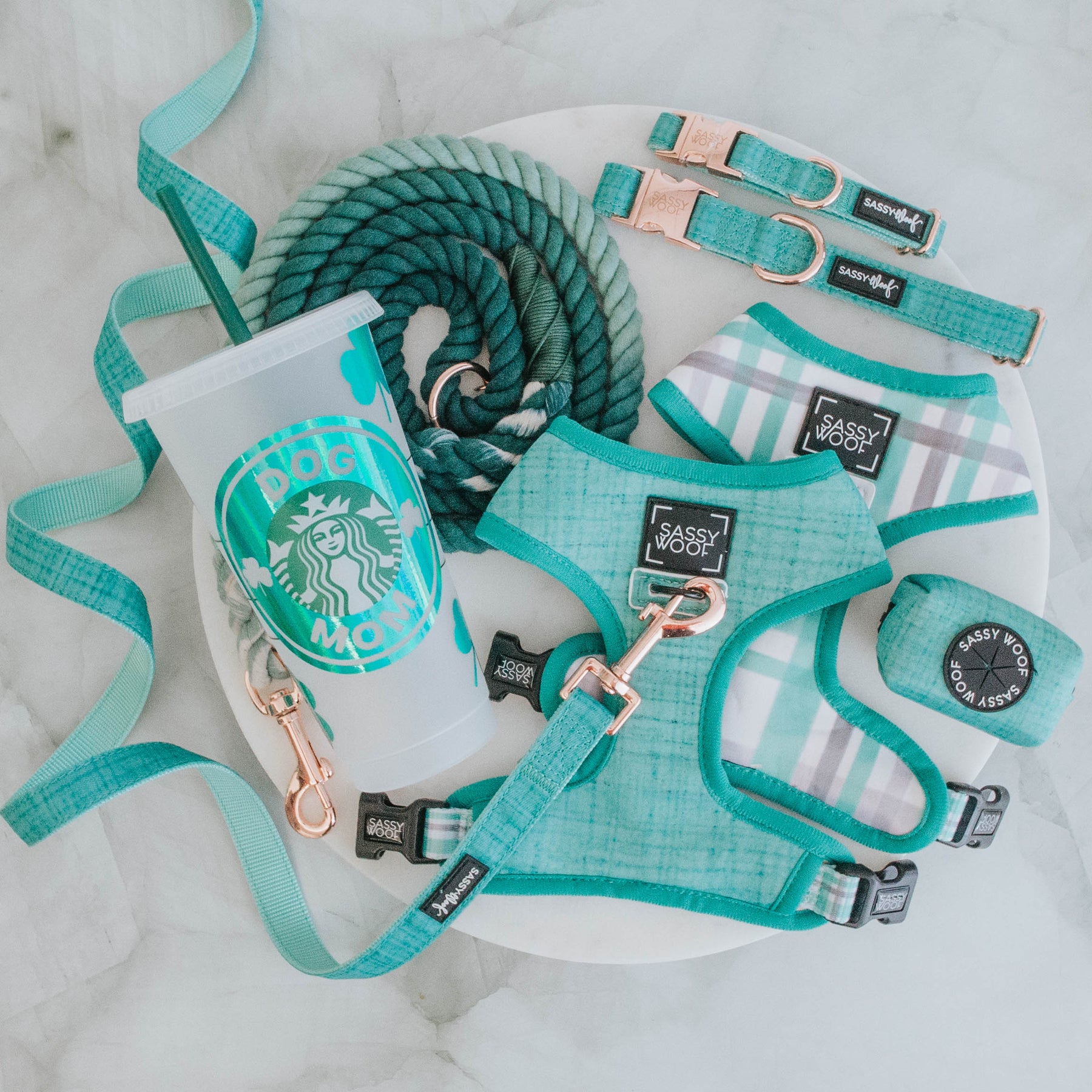 Dog Four Piece Bundle - Wag Your Teal