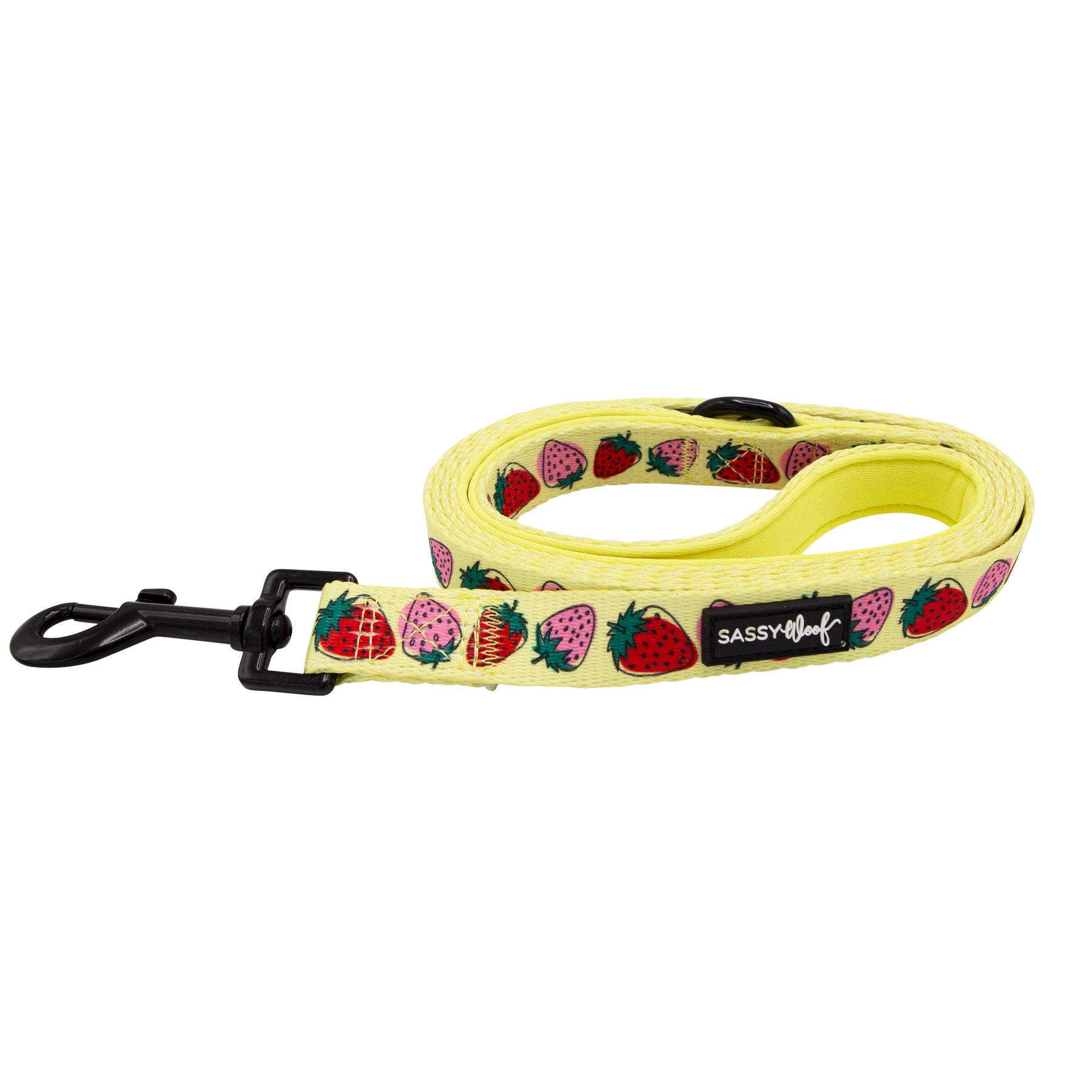 Dog Leash - Strawberry Fields Furever