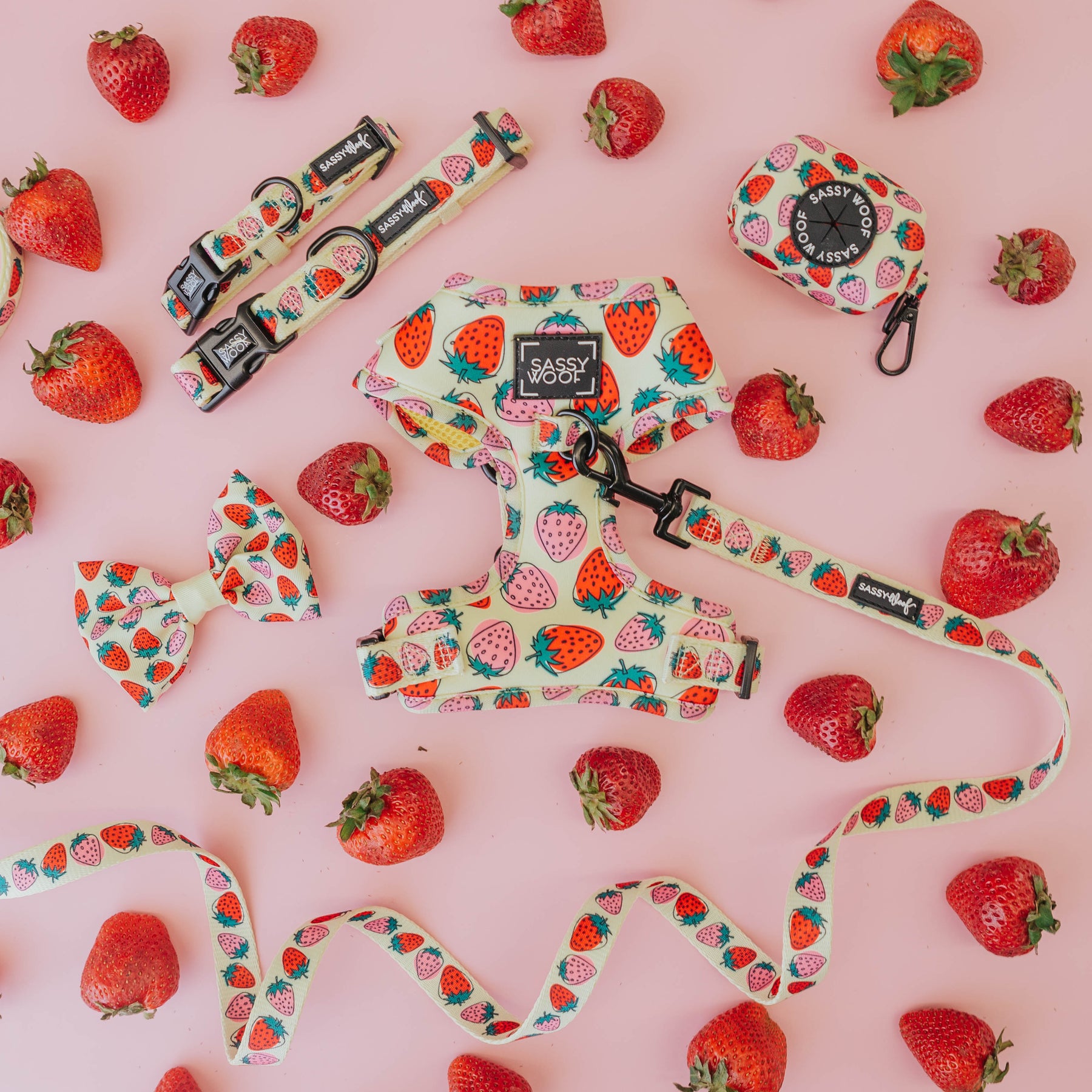 Dog Bundle - Strawberry Fields Furever