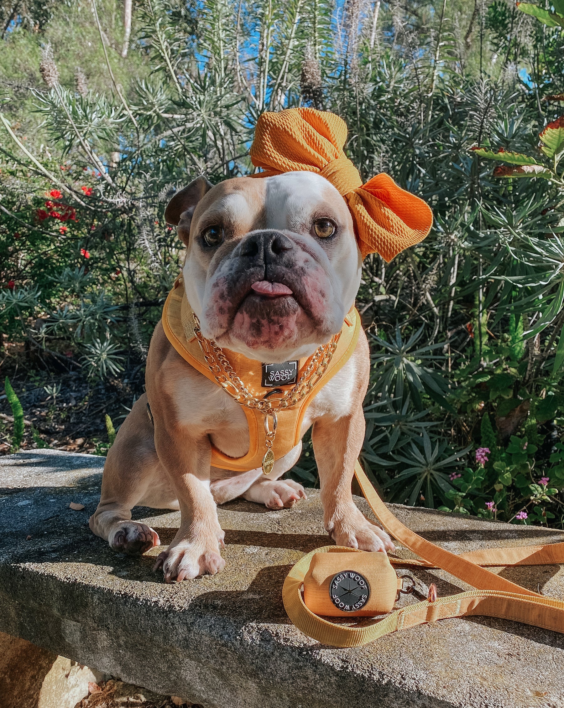 INFLUENCER_CONTENT | @THEBULLYPRINCESSLEIA | SIZE M
