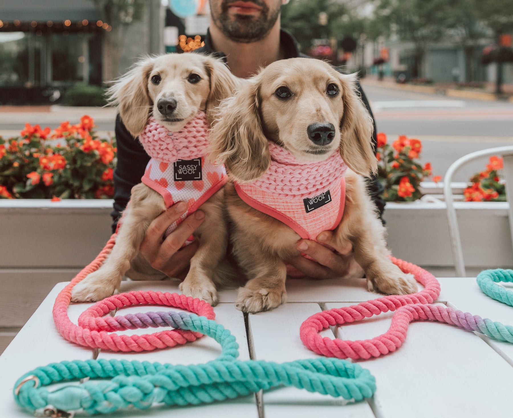 Dog Rope Leash - Unicorn