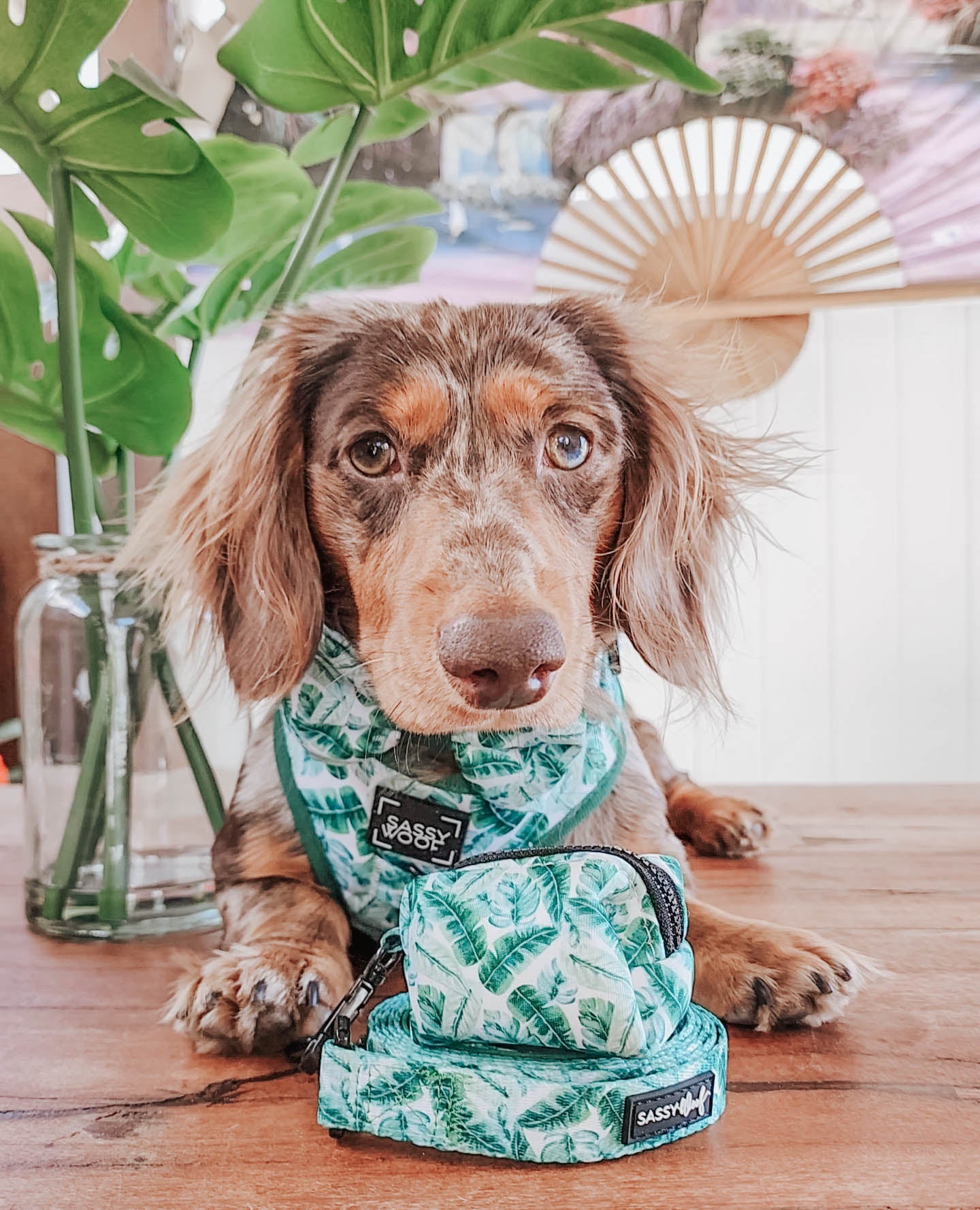 INFLUENCER_CONTENT | @WAFFLESTHEHOTDOG