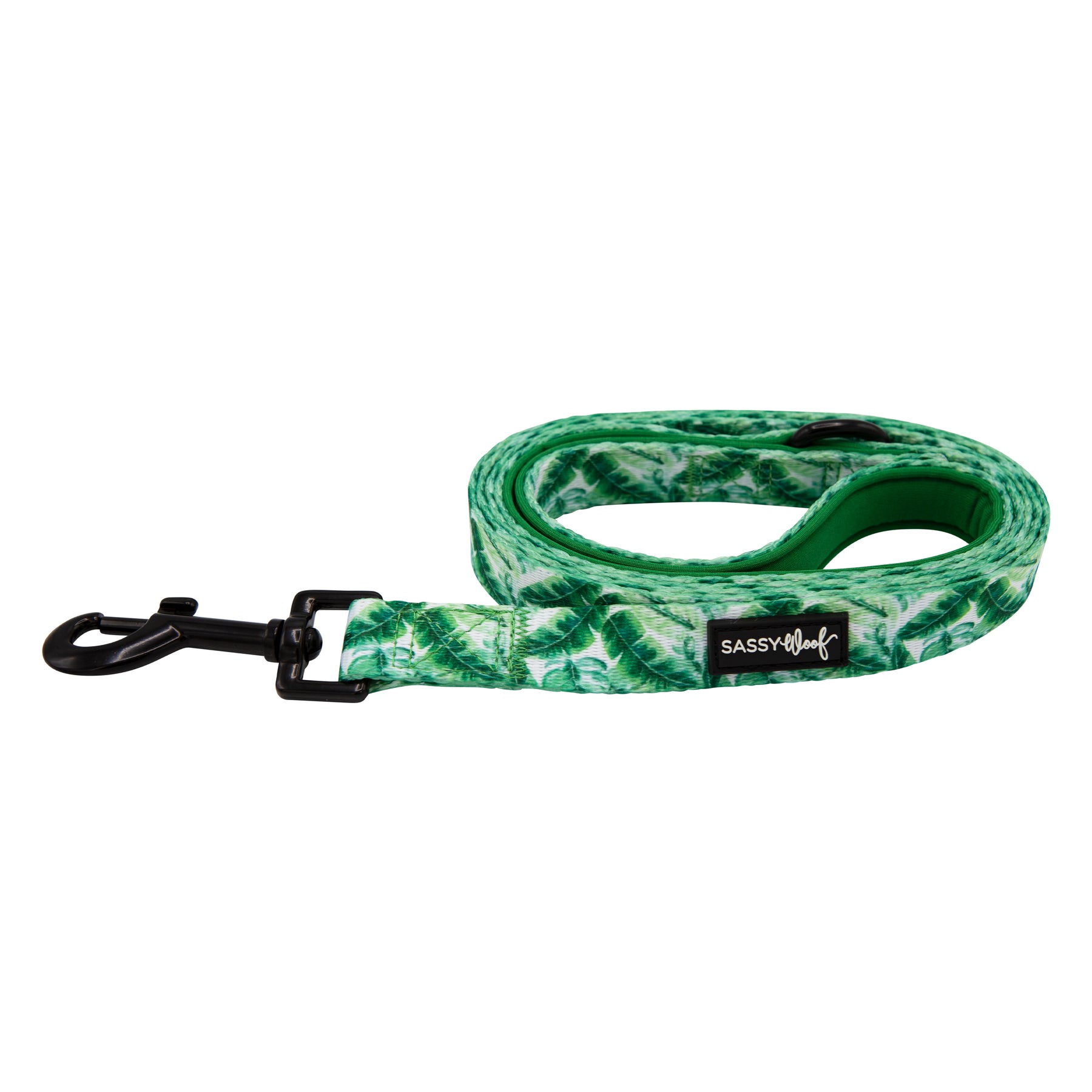 Dog Leash - Verano