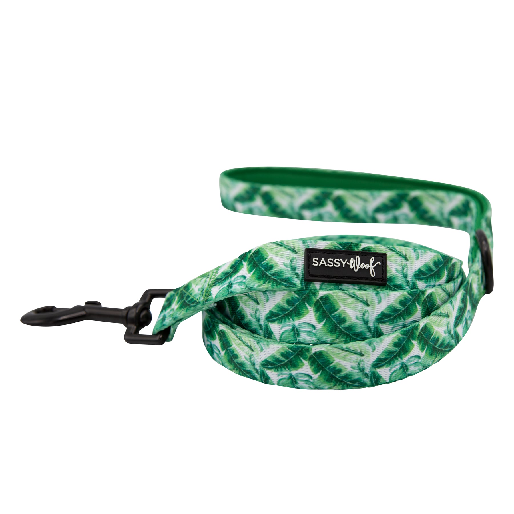 Dog Leash - Verano