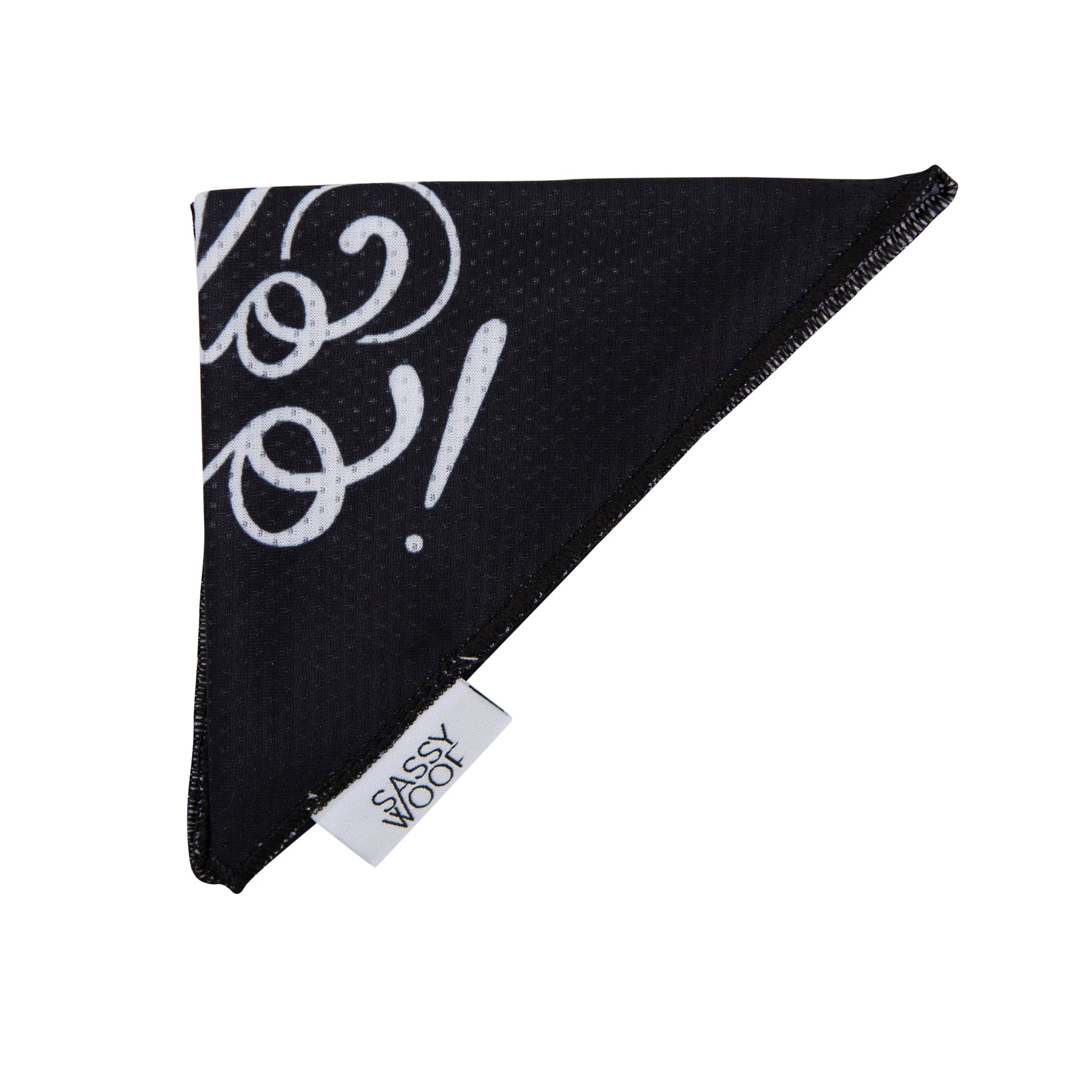 Dog Bandana - I Do, Too!