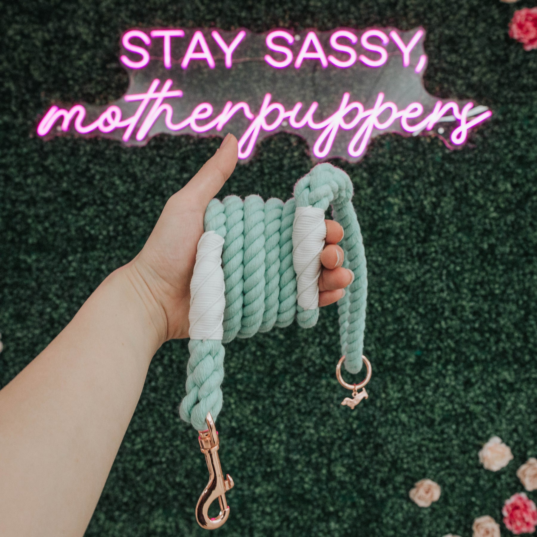 Dog Rope Leash - Mint to Be