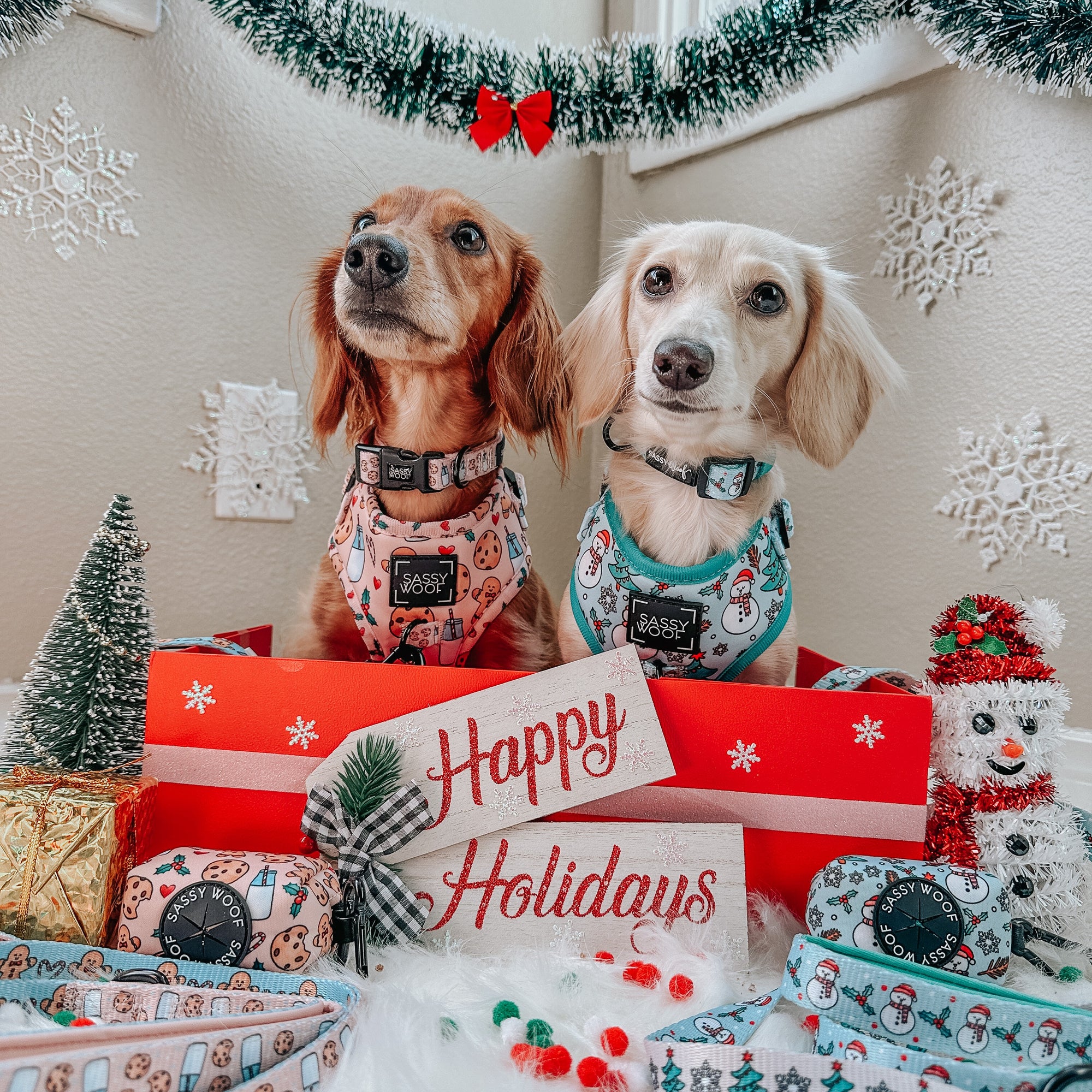 Holiday Outfits Fur You & Your Pup!