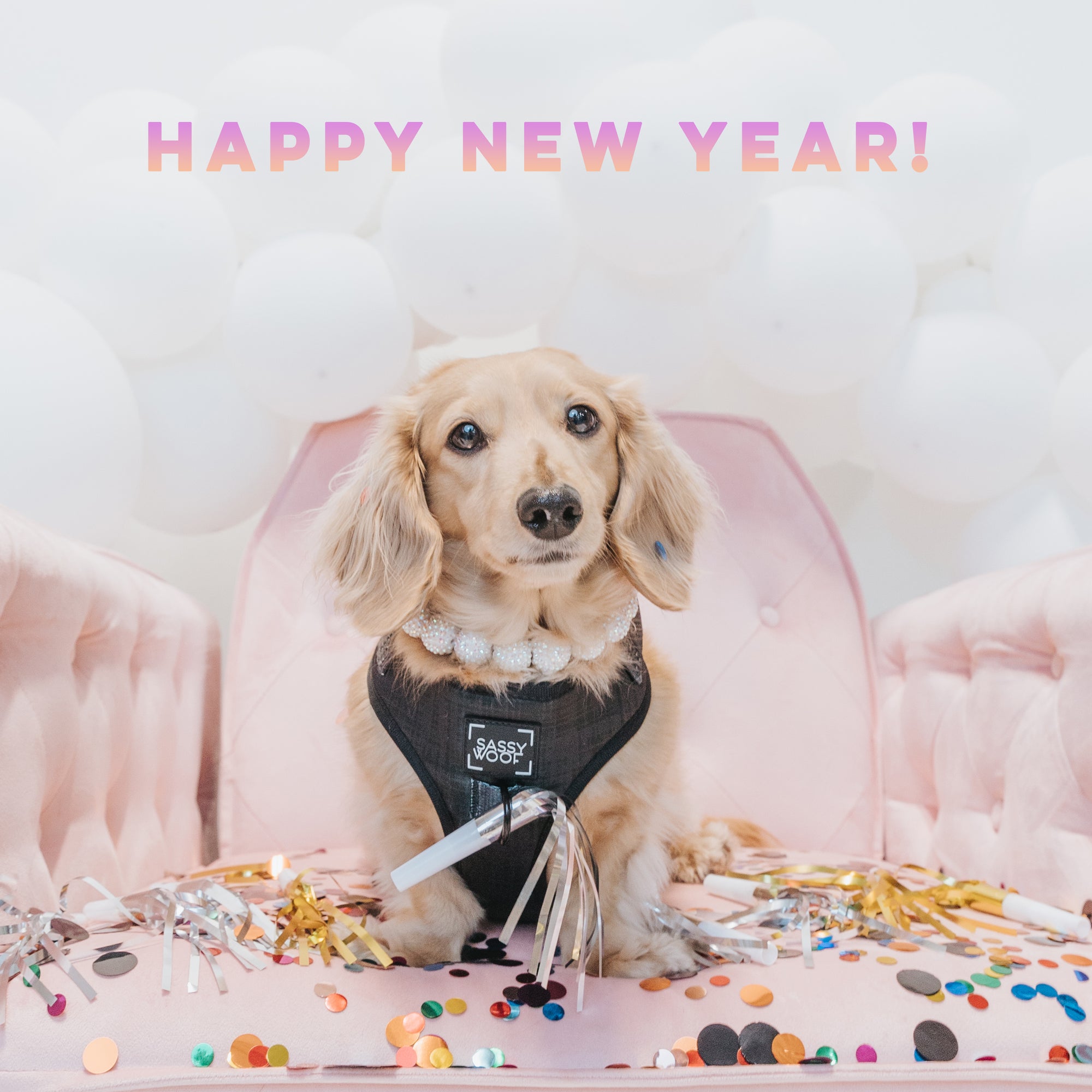 New Year Resolutions: Office Pup Edition