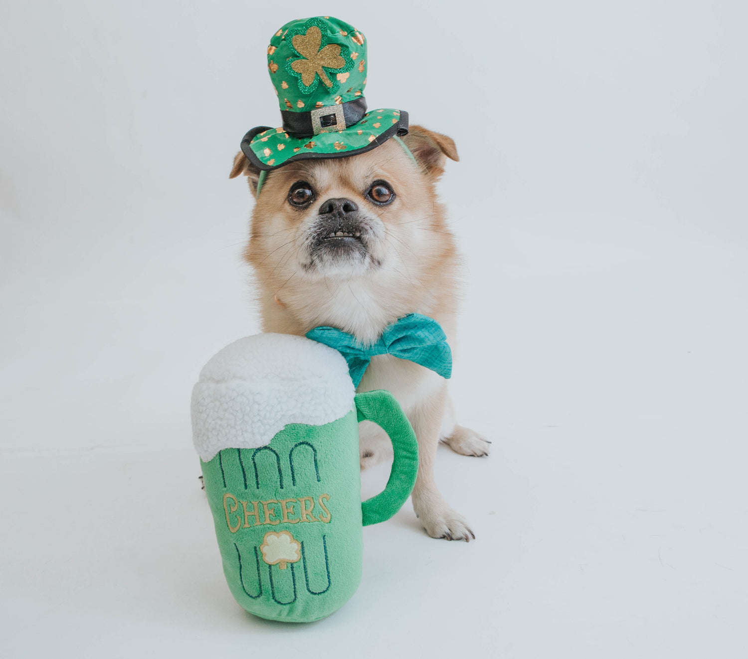 Local Dog-Friendly St. Patrick Day Events
