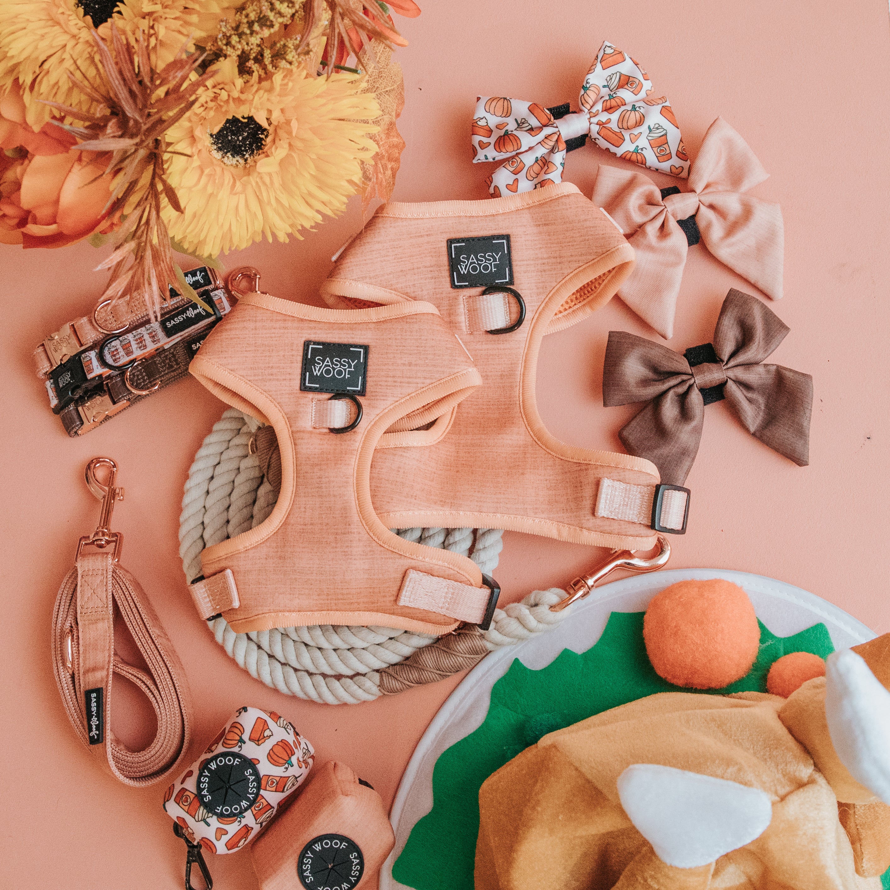 Food to Avoid & Share Thanksgiving Edition Sassy Woof