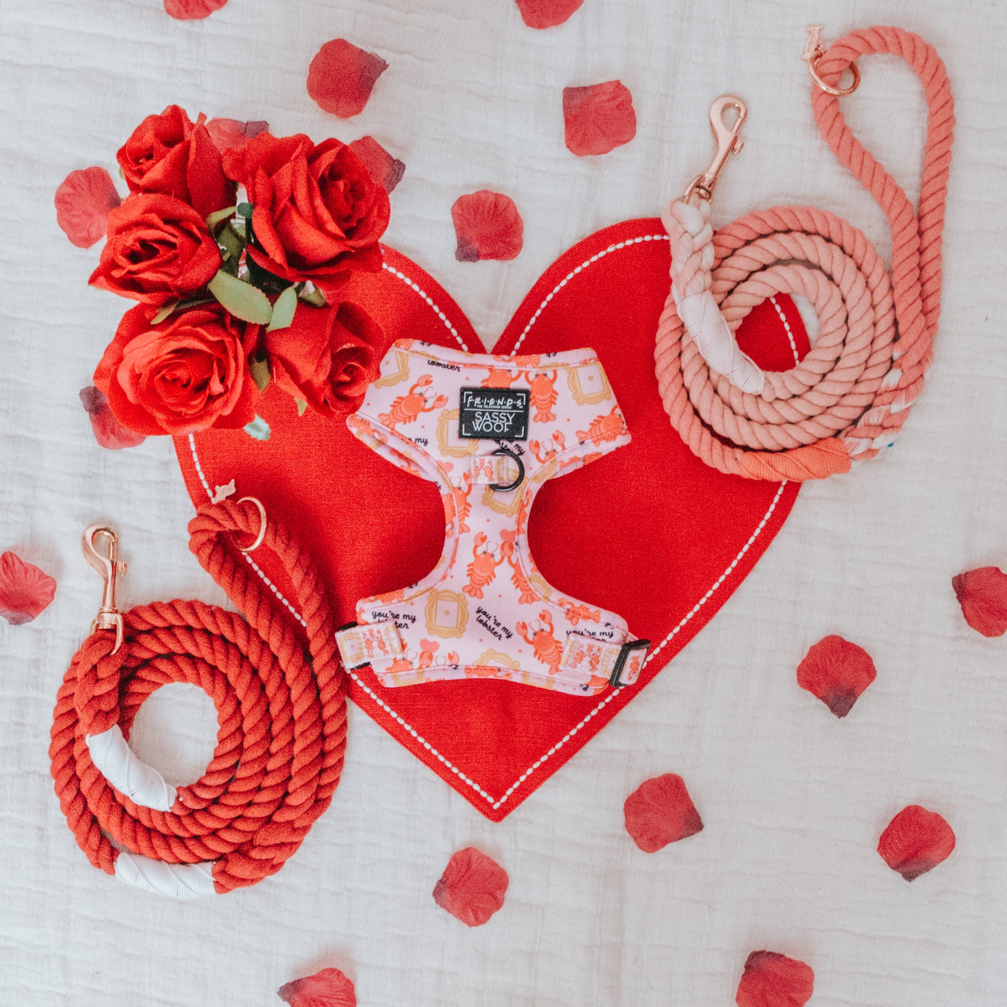 Harness & Ropes - Valentine's Day Edition