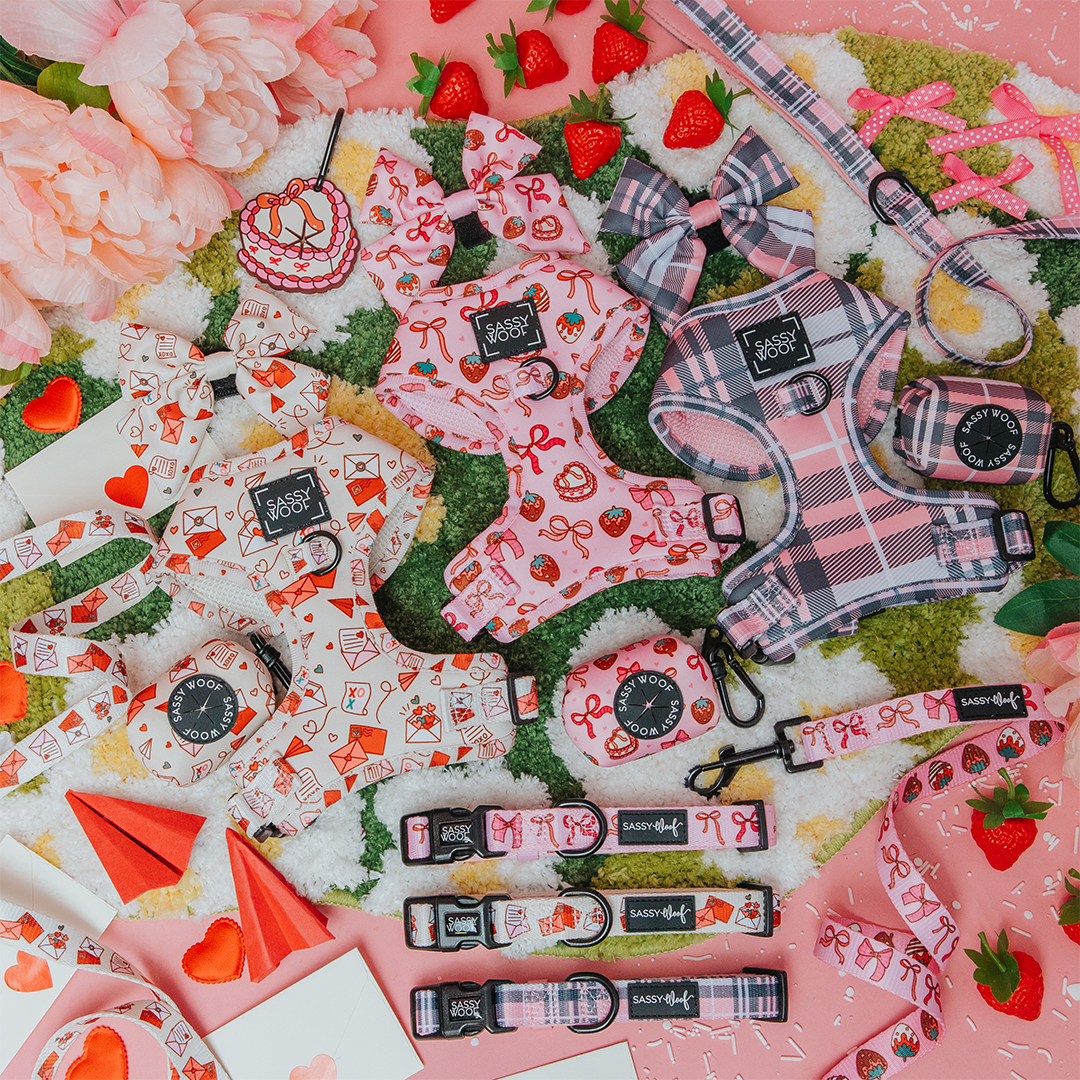 Dog harnesses, bow ties, and leashes with romantic, valentine-themed designs are arranged on a colorful backdrop with flowers, heart shapes, and watermelon slices.