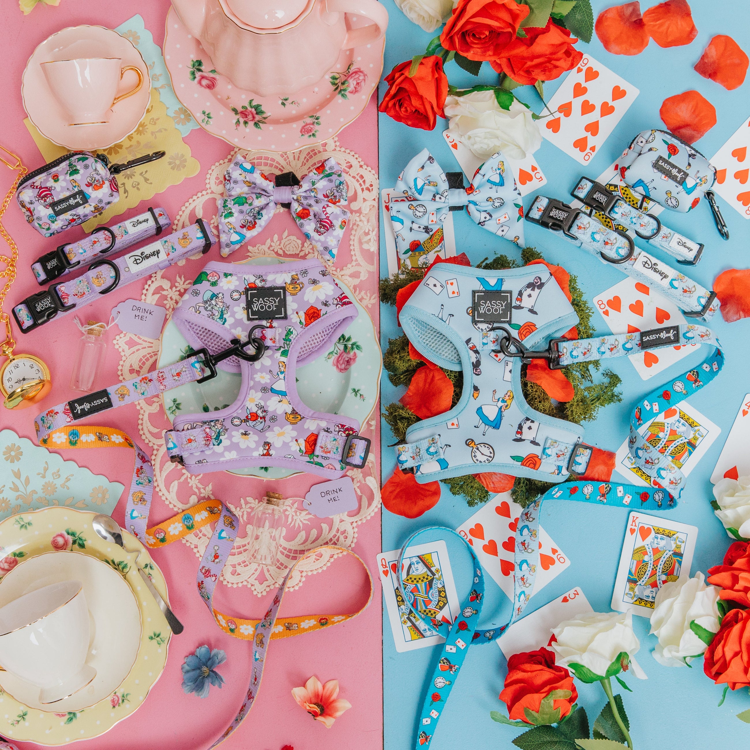 Disney's Alice in Wonderland