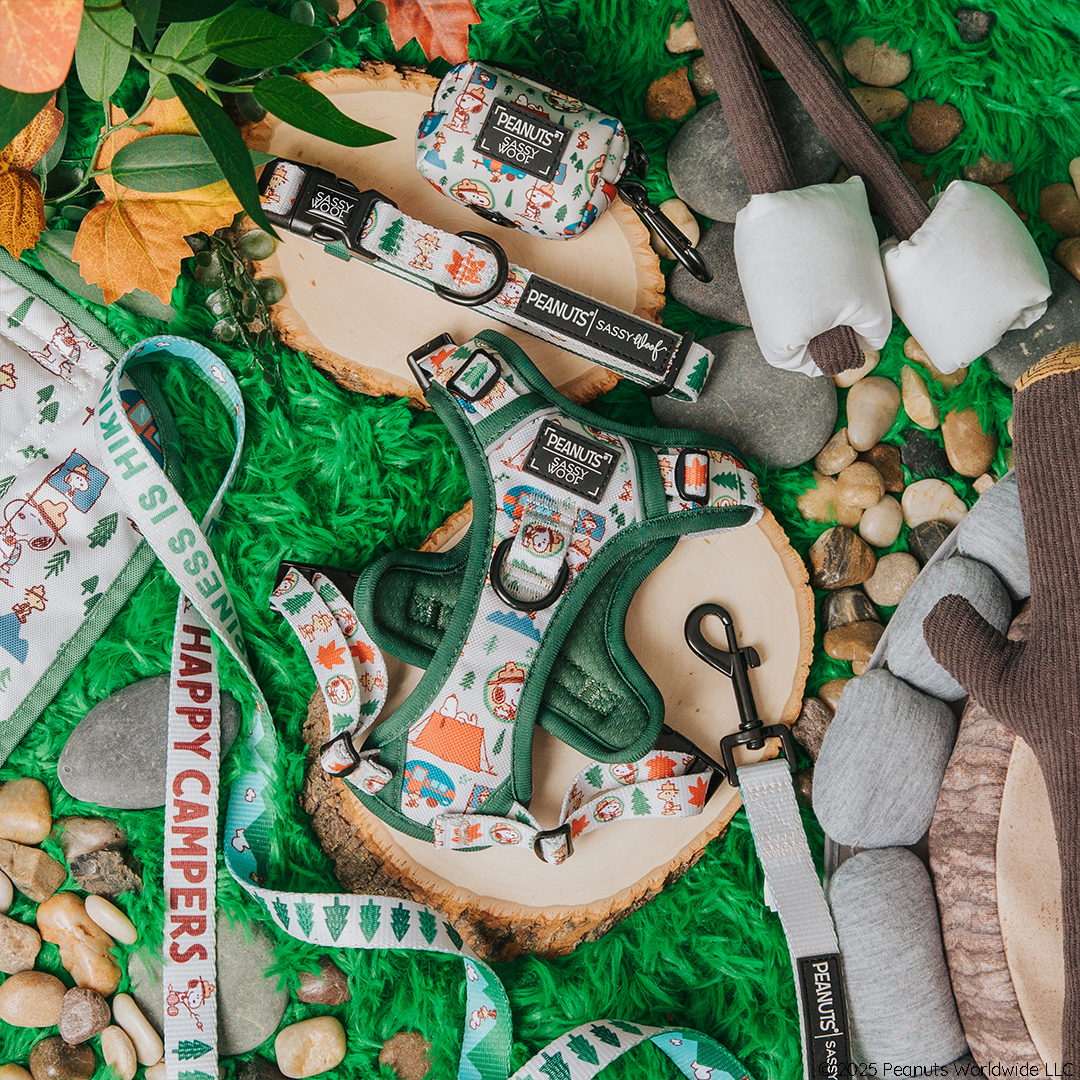 Peanuts Beagle Scouts