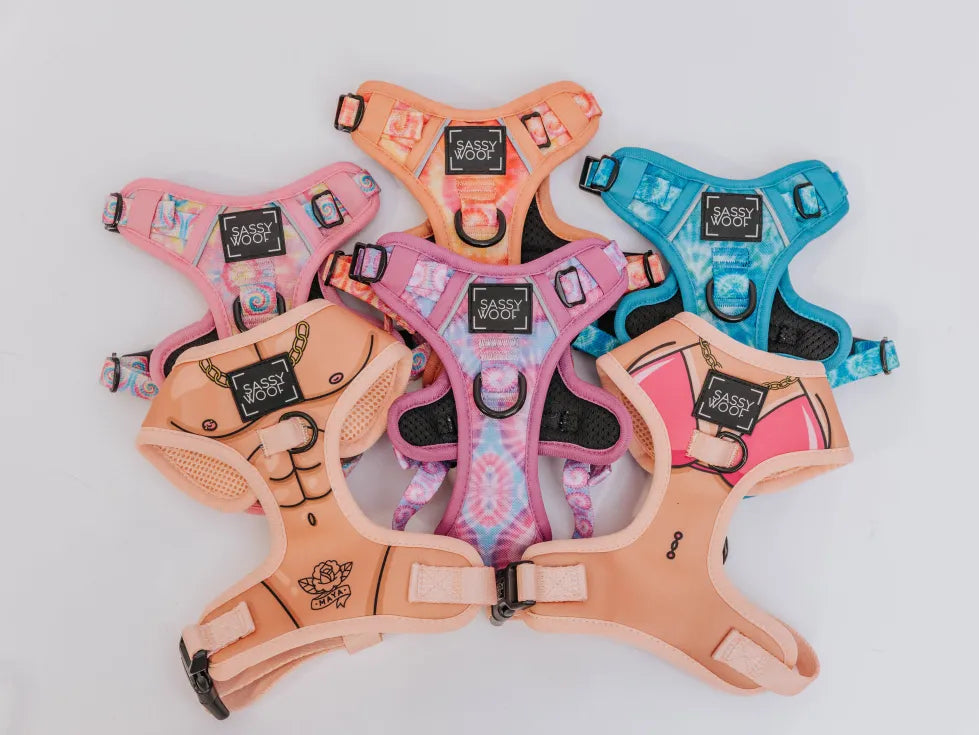 Fur the Beach Collections