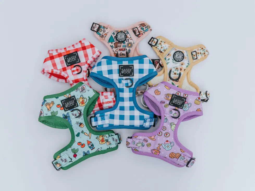 Fur a Picnic Collections