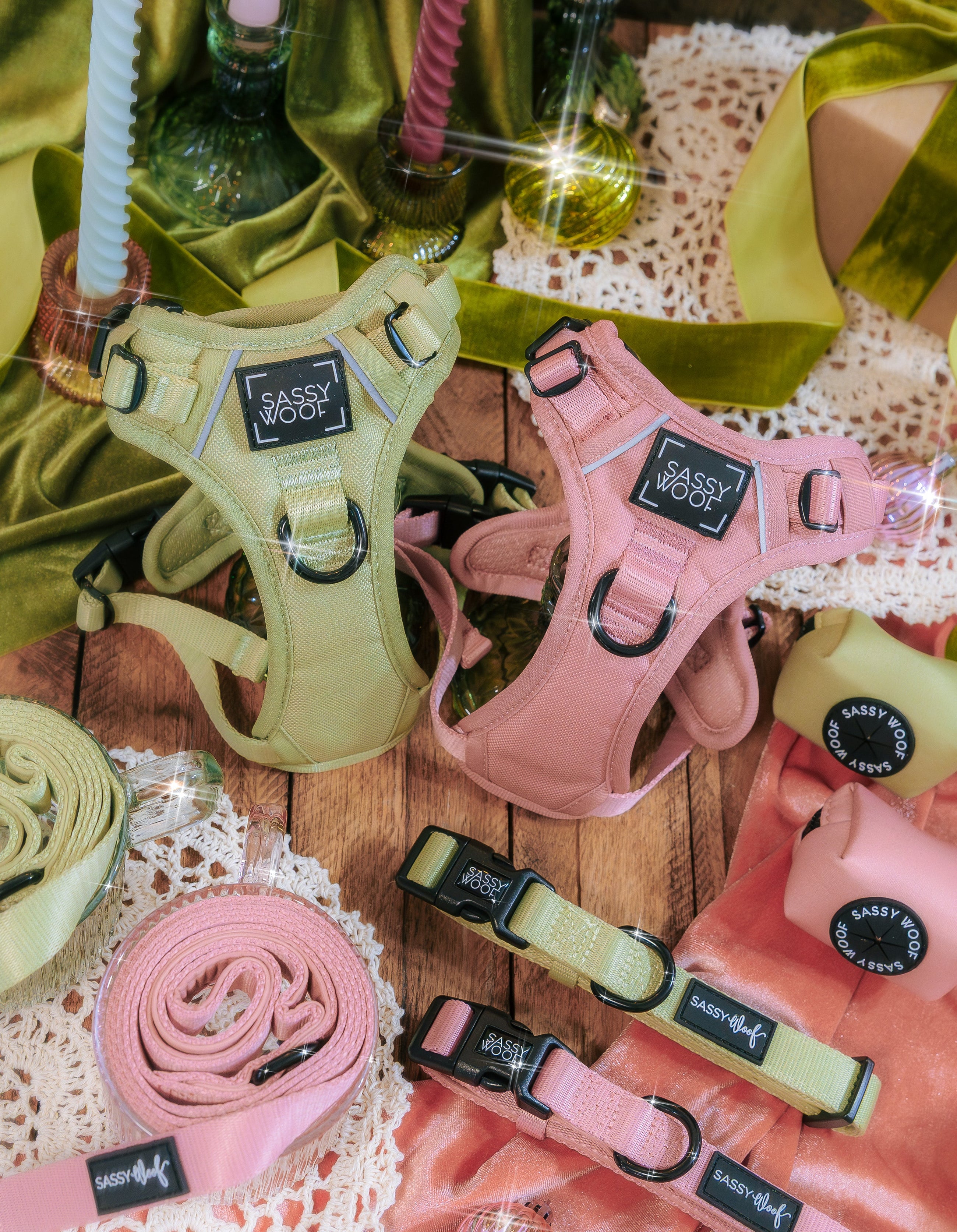 A dog’s front paws are visible on a blanket decorated with Winnie the Pooh characters and camping items. A matching leash with cartoon designs lies in a loose loop on the blanket.