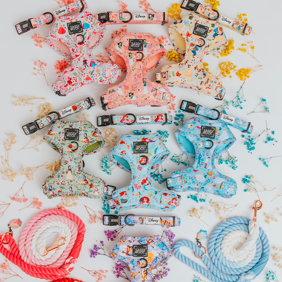 Colorful Disney-themed dog harnesses, collars, and leashes are artfully arranged with pastel dried flowers on a white background, featuring characters and patterns in pink, blue, and cream tones.
