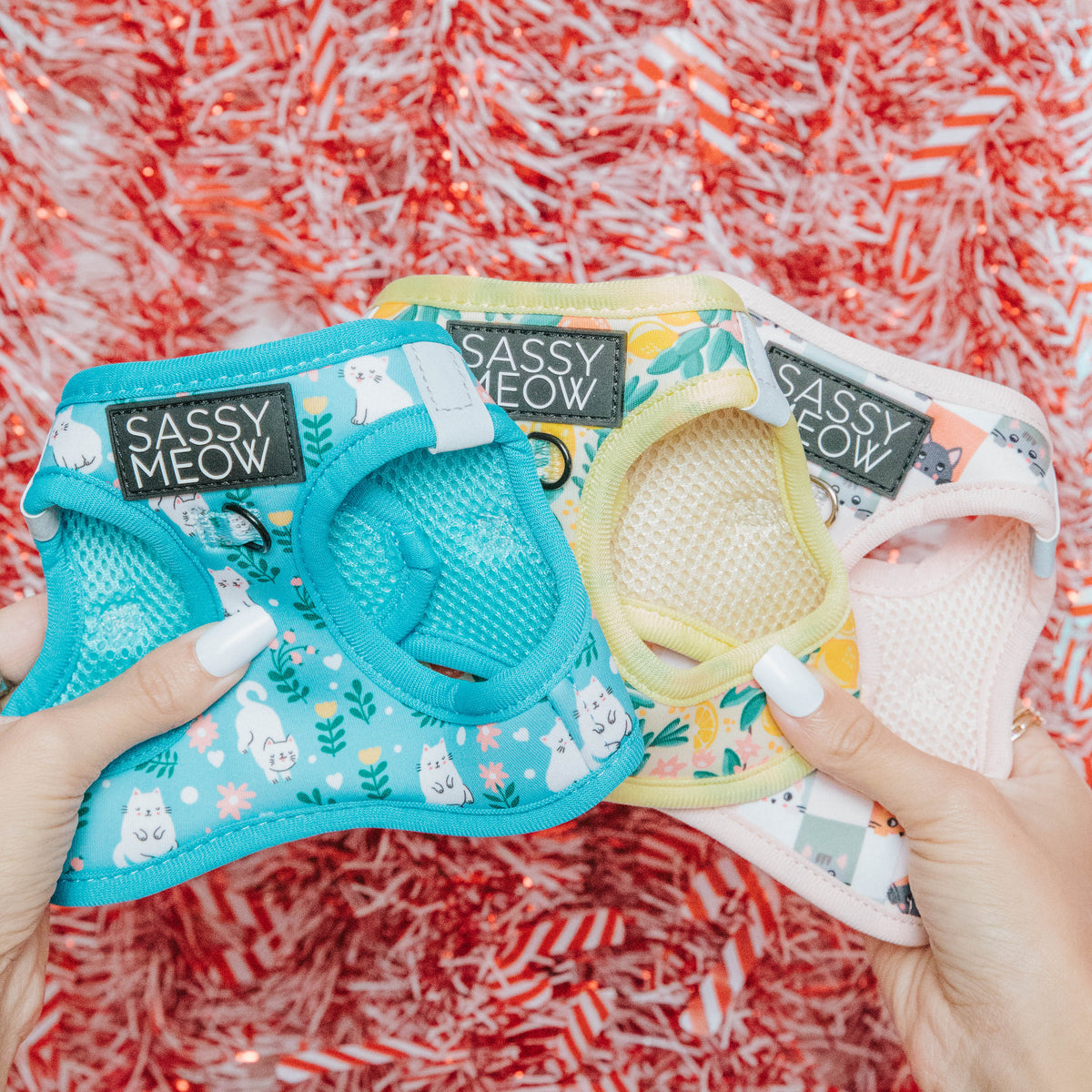 Cat Harnesses | Sassy Woof Collection