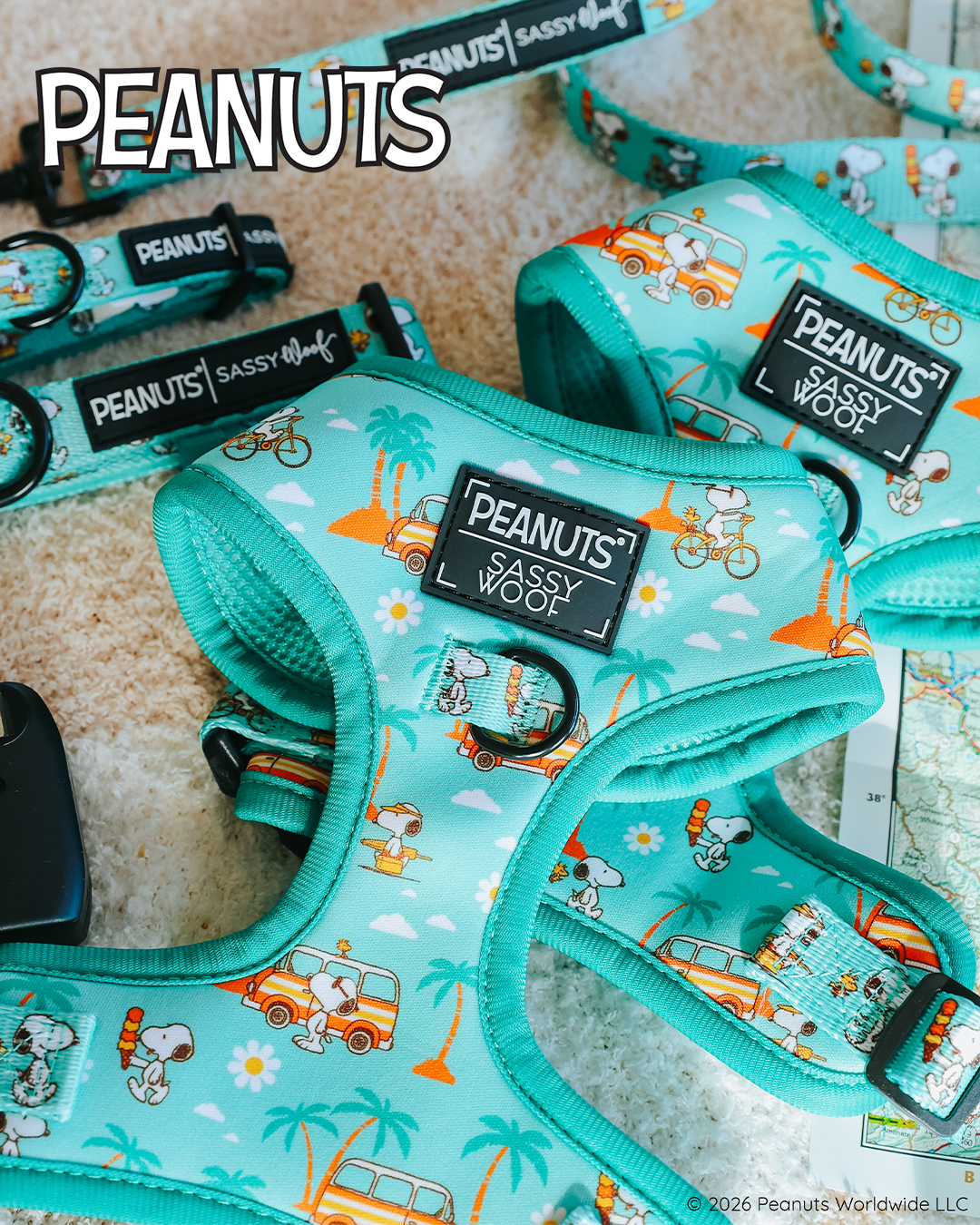Turquoise dog harnesses and leashes with Peanuts characters, palm trees, and surfboards. The Peanuts and Sassy Woof logos are visible on the harnesses.