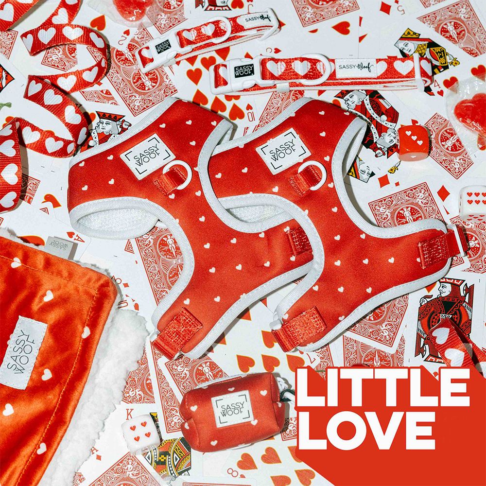 Red dog harnesses with white hearts and Sassy Woof labels are displayed on a background of playing cards, matching accessories, and the text LITTLE LOVE in bold white and red letters.