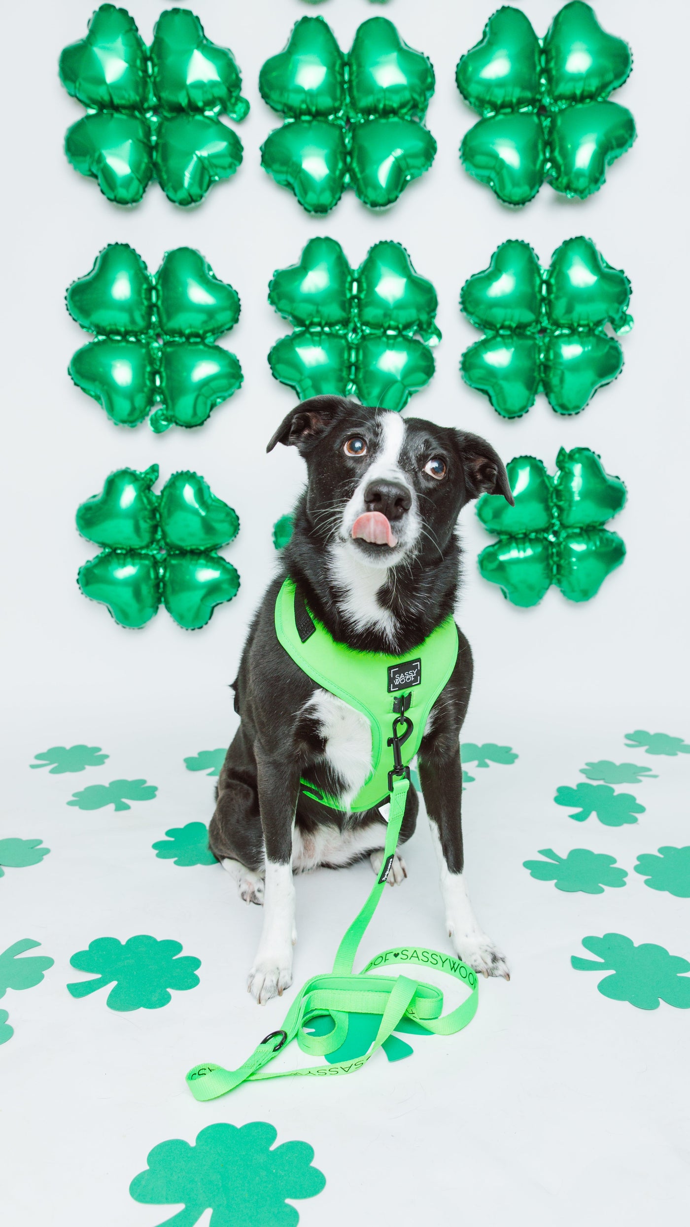 St. Patrick's Day - Shop these Looks!