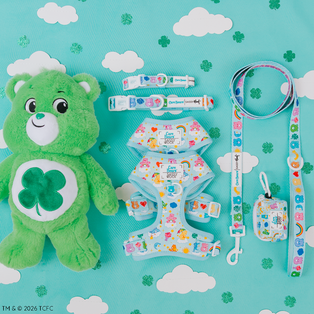 A green Care Bear plush with a four-leaf clover on its belly lies next to colorful, Care Bear-themed dog harnesses, a leash, and a waste bag holder on a teal background with white clouds.