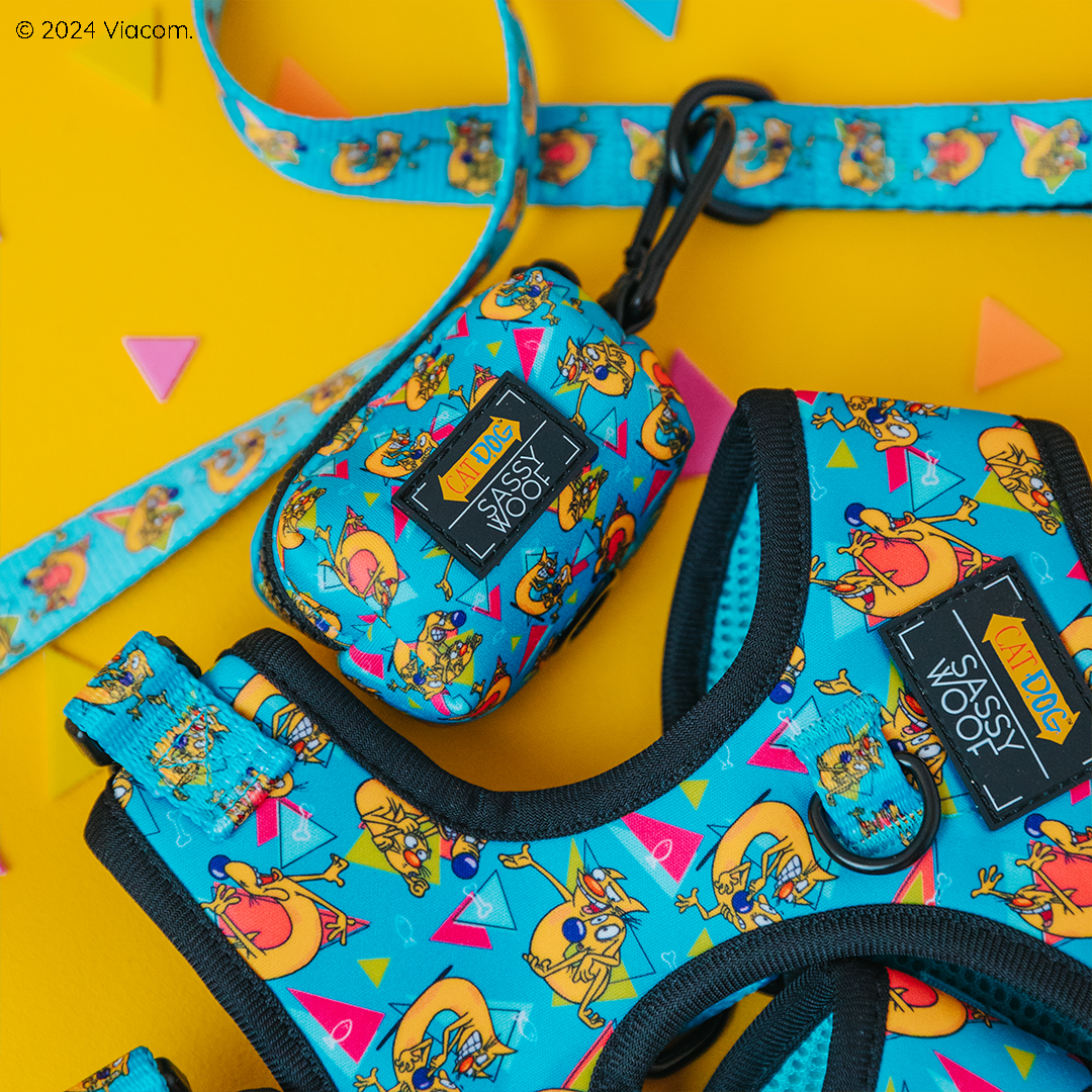 Bright blue dog accessories set with Nickelodeon cartoon character prints, including a harness, leash, and waste bag holder, displayed on a yellow background with colorful confetti.