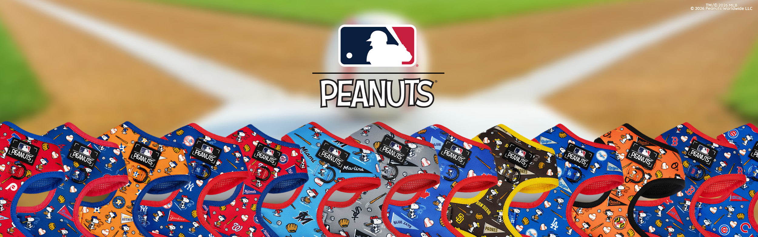 A dog wearing a blue harness with Disney prints sits on a themed blanket, surrounded by Winnie the Pooh, Tigger, and Eeyore plush toys. A red balloon and “Hundred Acre Wood” sign are in the background.