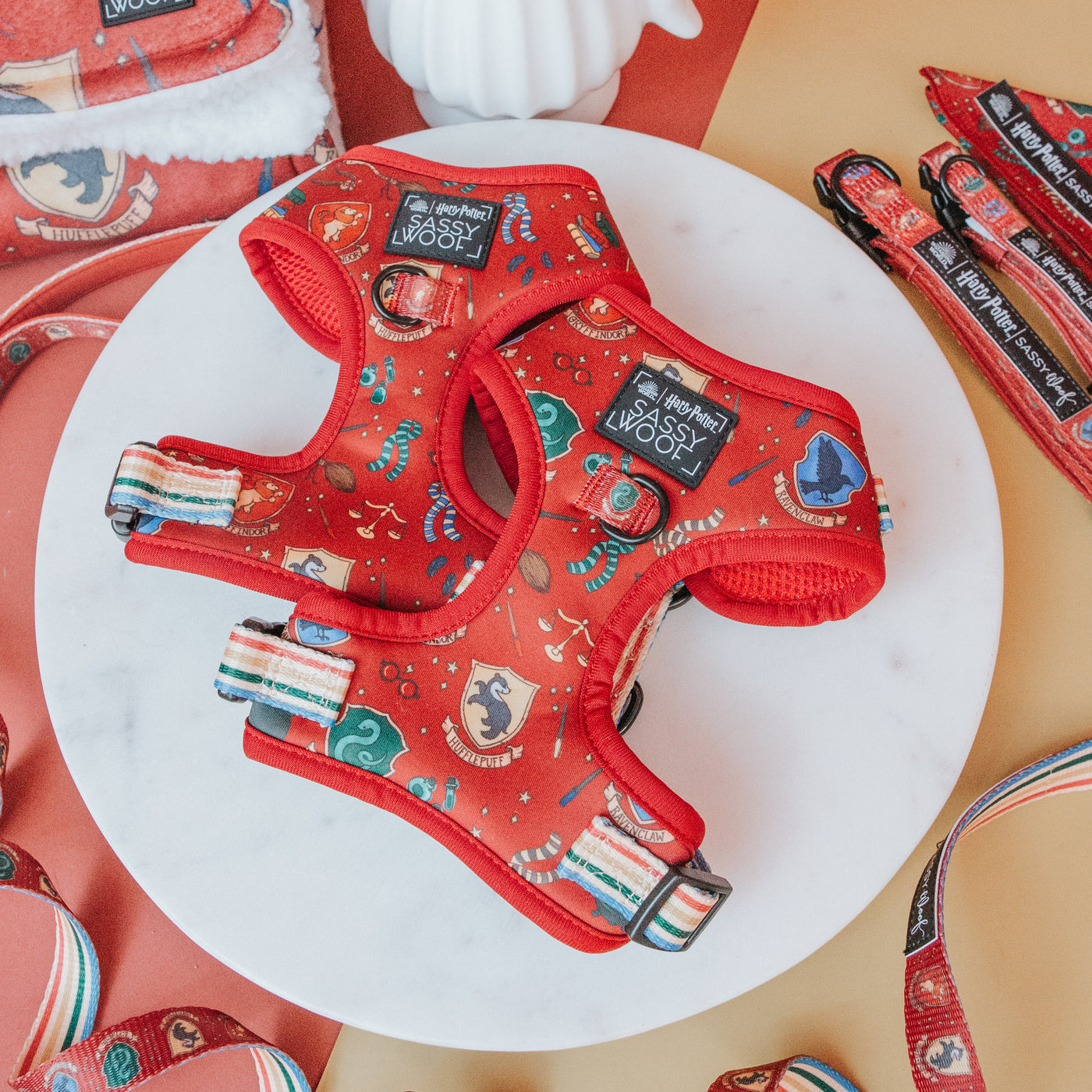 Harry Potter™️ x Sassy Woof