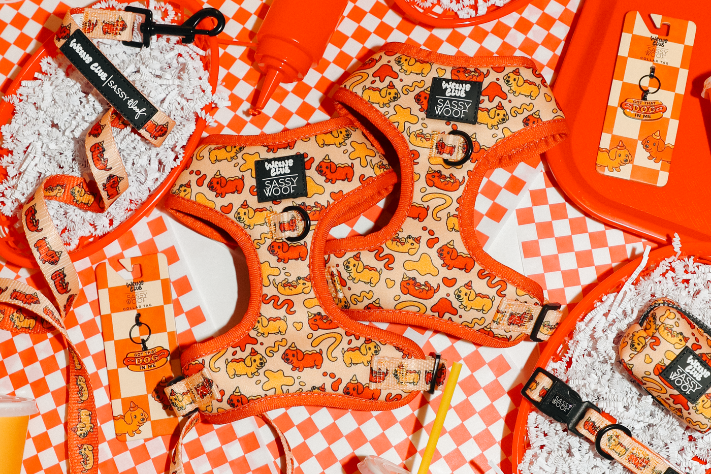 Sassy Woof x Wiener Club dog accessories collection featuring a harness, collar, leash, and tags with a cartoon dachshund print in orange and cream tones on a checkered background.