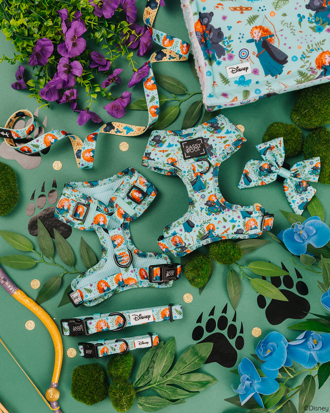 Flat lay of Disney’s “Brave”-themed pet accessories with images of Merida, surrounded by flowers, moss, paw prints, a toy bow and arrow, and gold coin confetti on a green background.