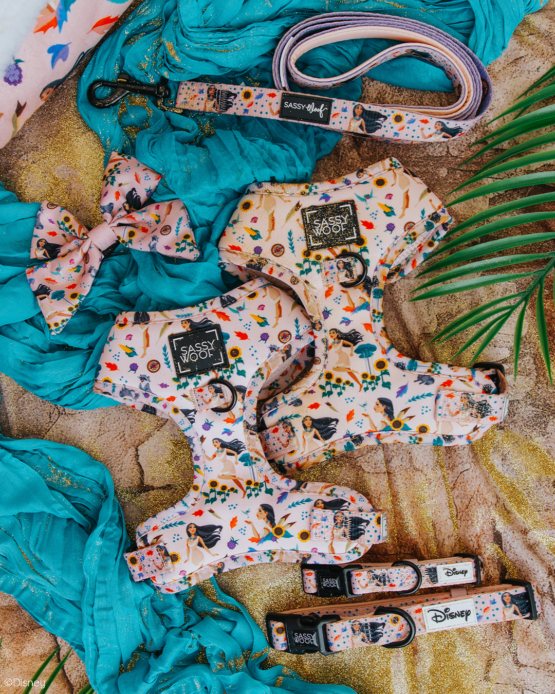 Colorful flat lay featuring two dog harnesses, a leash, a bow, and collars with Disney-themed prints, arranged on sand with turquoise fabric and palm leaves for a tropical vibe.