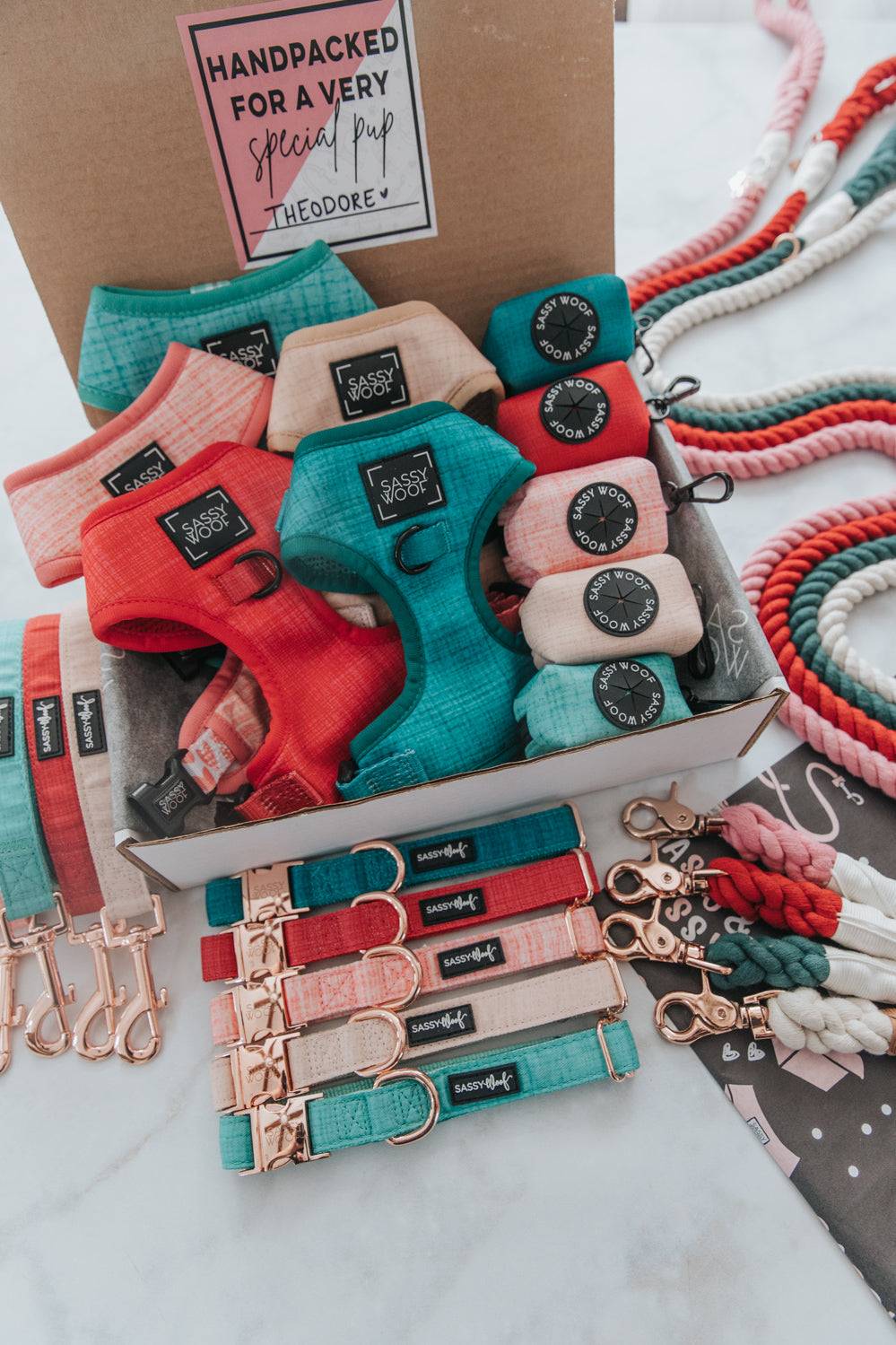 A box labeled “Handpacked for a very special pup” contains colorful dog harnesses, collars, waste bag holders, and leashes in shades of red, green, pink, and peach on a marble surface.