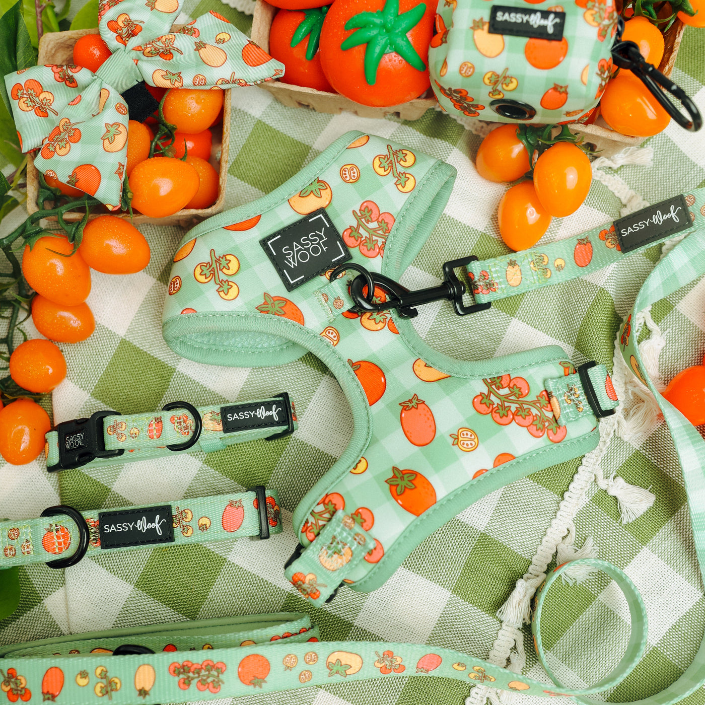 Colorful dog accessories with fruit patterns, including a harness, collars, leash, bow, and bag, are arranged on a green-and-white checked cloth with kumquats and decorative tomatoes scattered around.