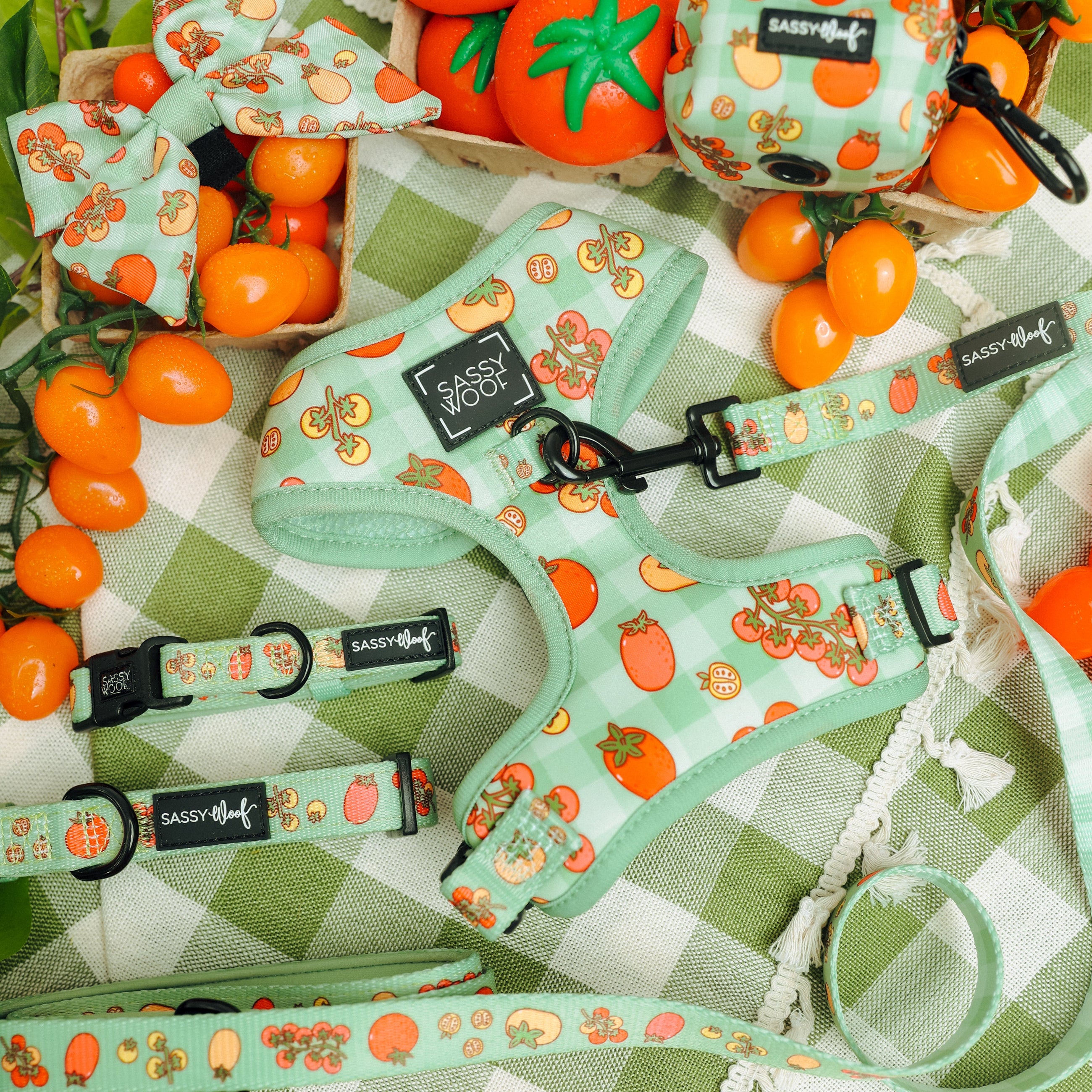 Colorful dog accessories with fruit patterns, including a harness, collars, leash, bow, and bag, are arranged on a green-and-white checked cloth with kumquats and decorative tomatoes scattered around.