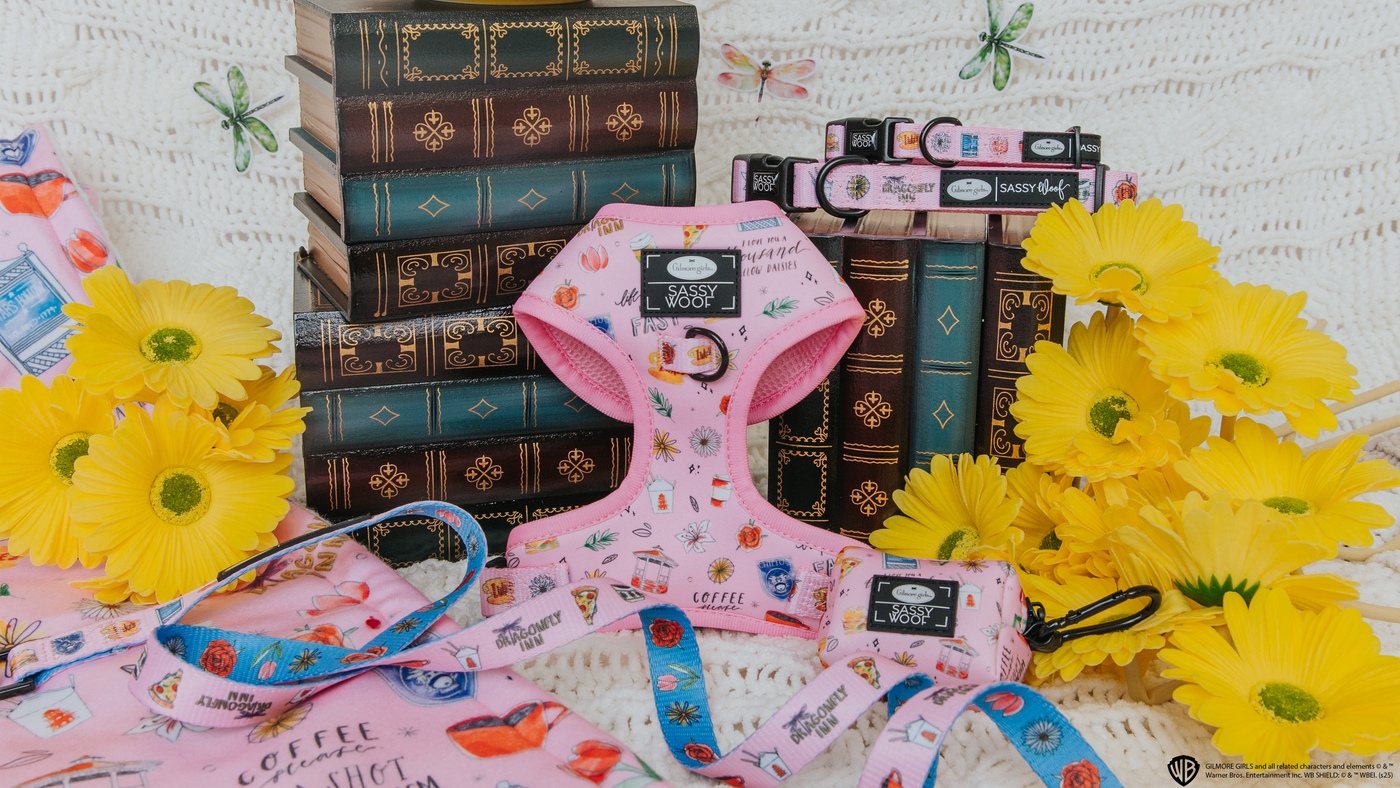 A pink dog harness, leash, and collars with coffee-themed prints are displayed among vintage books and bright yellow daisies on a white crochet backdrop.