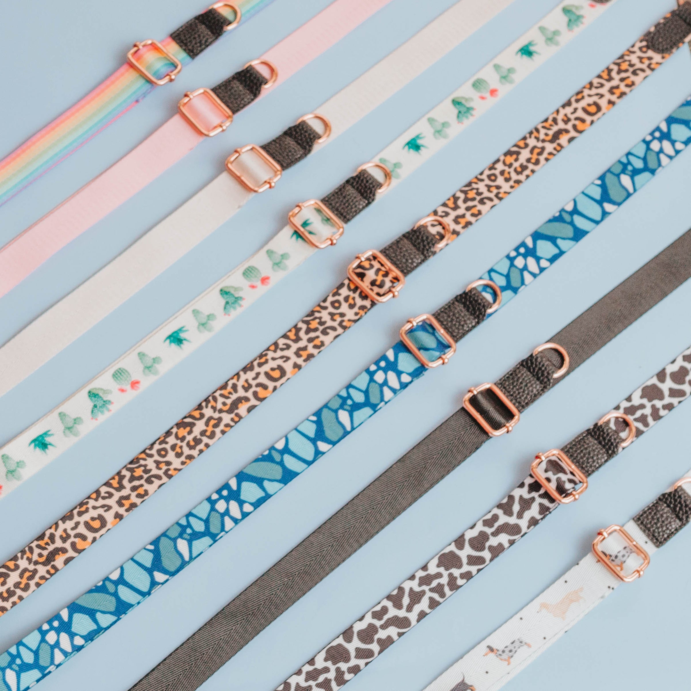 Crossbody Straps Sassy Woof Collection