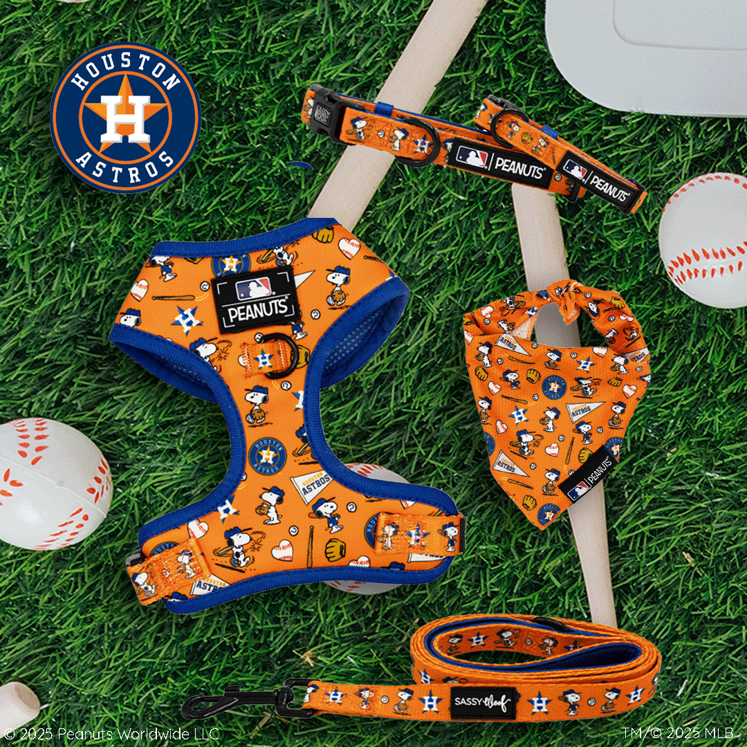 Orange Houston Astros dog accessories set with Snoopy and Peanuts designs, including a harness, collar, bandana, and leash, displayed on green grass with baseballs around.