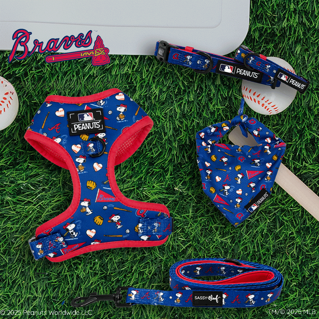 Atlanta Braves x Peanuts blue dog harness, leash, collar, and bandana set with Snoopy and baseball icons, displayed on green turf next to two baseballs.
