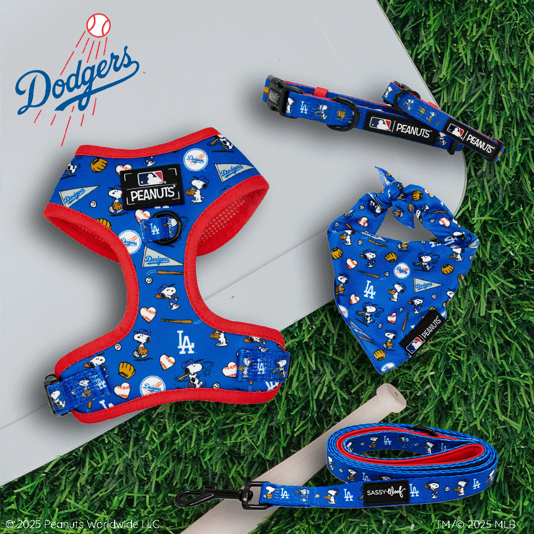 Blue Los Angeles Dodgers dog harness, collar, leash, and bandana featuring Peanuts characters on green grass. The Dodgers logo is in the top left corner.