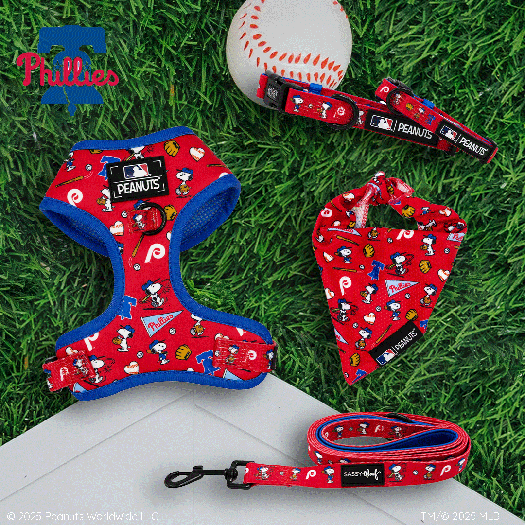 Red Phillies-themed pet harness, collar, bandana, and leash featuring Snoopy and baseball icons, displayed on green grass with a baseball and white field line in the background.