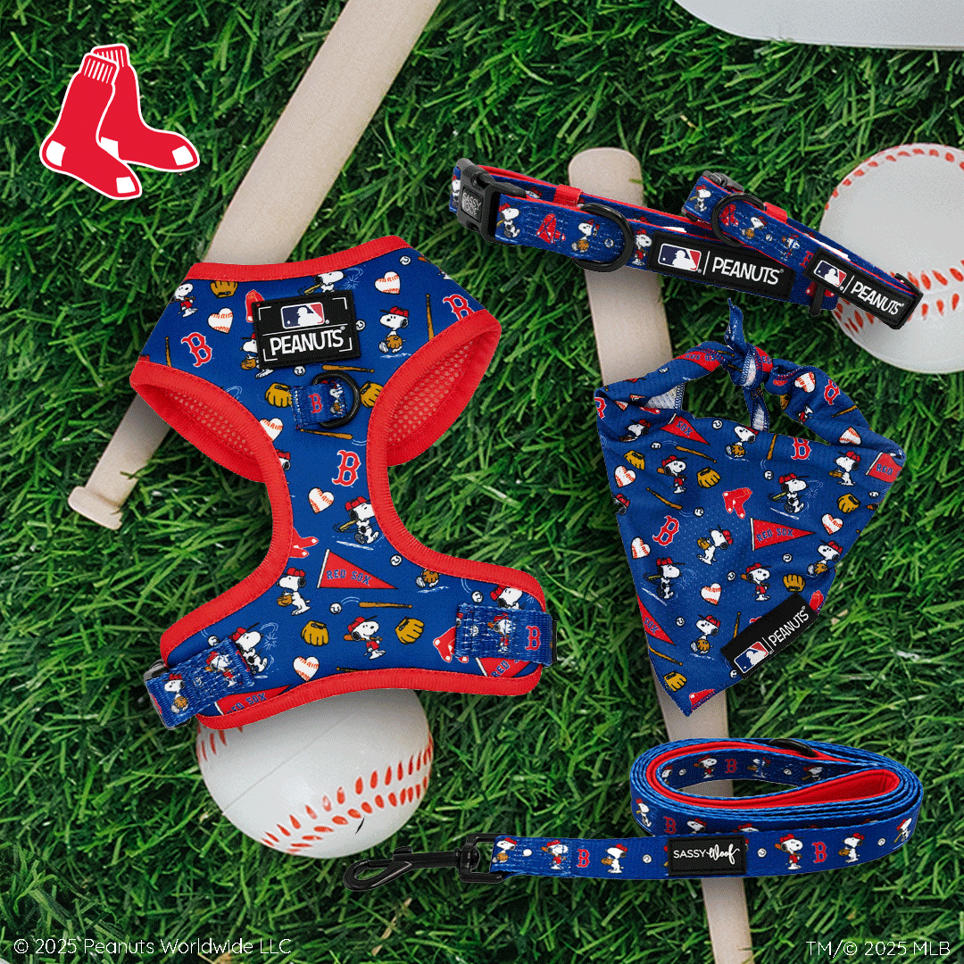 Boston Red Sox-themed dog harness, collar, leash, and bandana with Snoopy and baseball designs, displayed on grass with baseballs and bats. Red Sox logo in the top left corner.