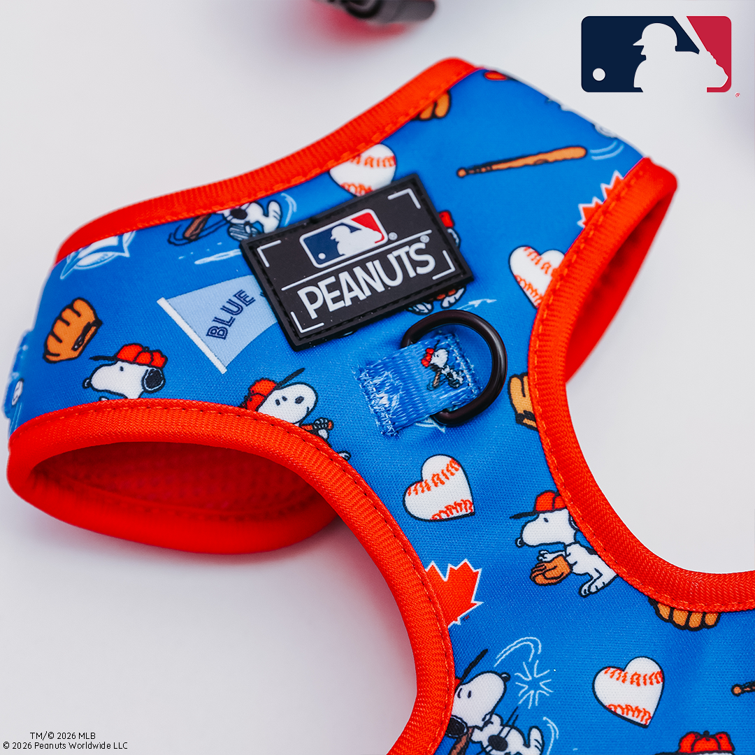 A blue and red dog harness featuring Snoopy, baseball bats, gloves, and balls, with MLB and Peanuts logos on a white background. The MLB logo is in the top right corner.