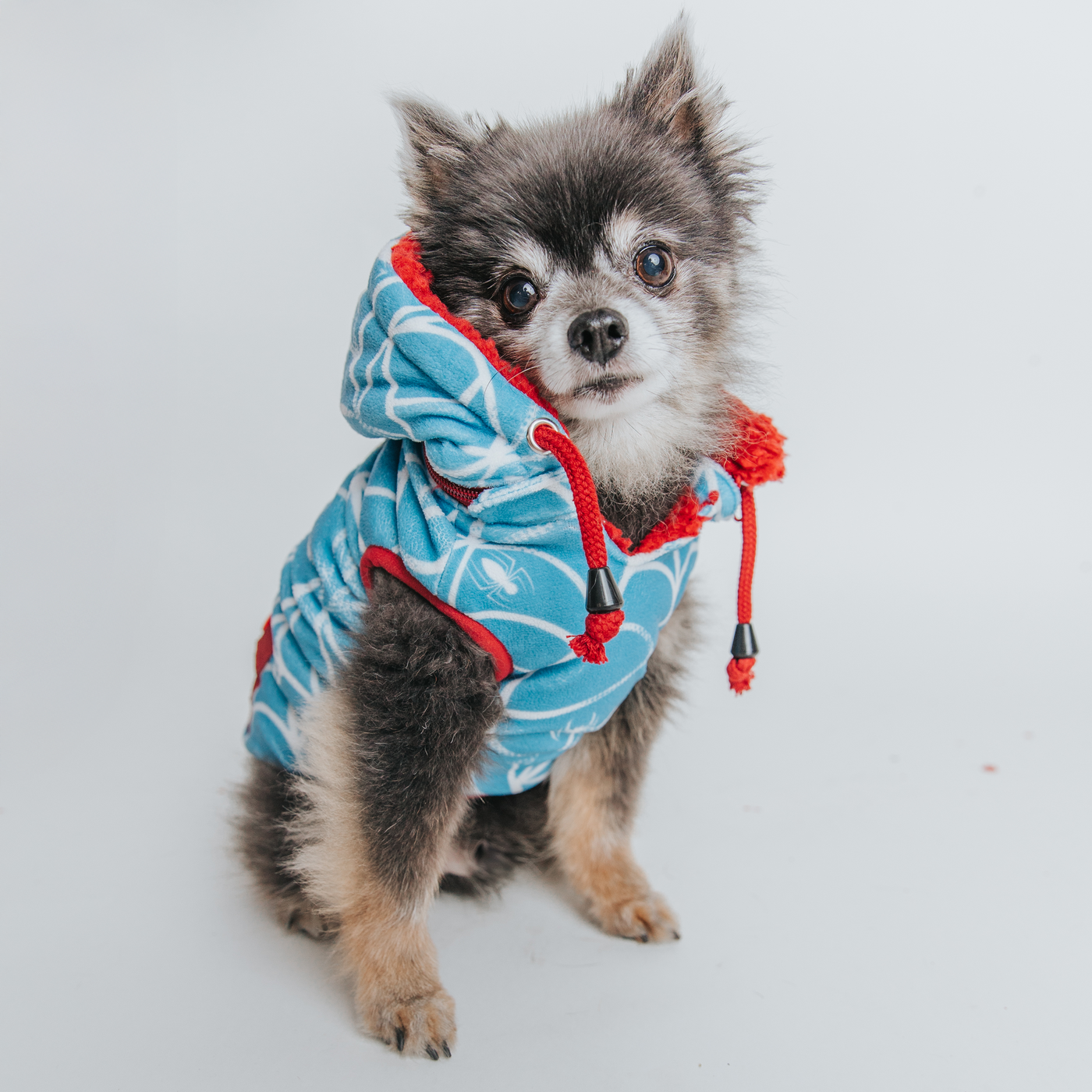 A small dog in a tropical shirt sits on a woven basket, with colorful leis and a palm tree decoration in the background, creating a beach-themed scene.
