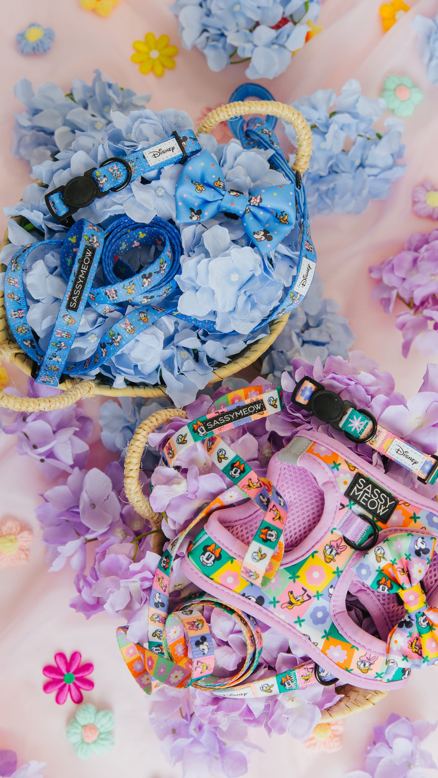 Mickey & Friends Petco Collection