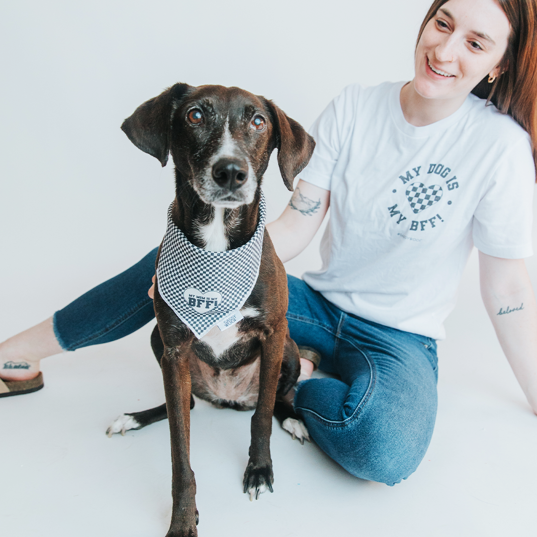 Six colorful pet bandanas with phrases like Sassy AF, Cute AF, and Loyal AF are arranged among sunglasses, faux clouds, and yellow flowers on a white background.