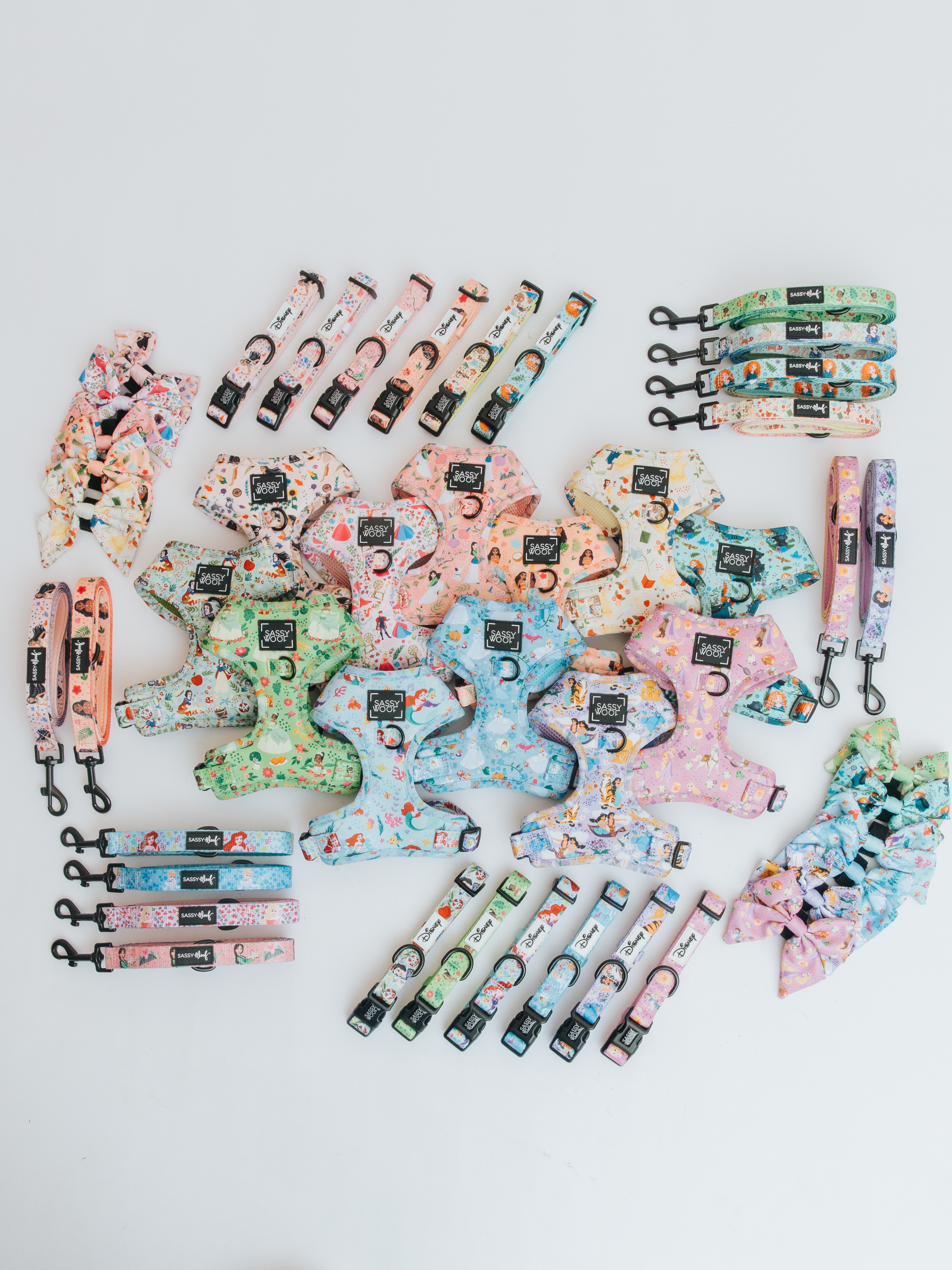 Colorful collection of dog accessories, including harnesses, leashes, collars, and bowties, arranged in a semi-circle pattern on a white background. Patterns feature playful, floral designs.