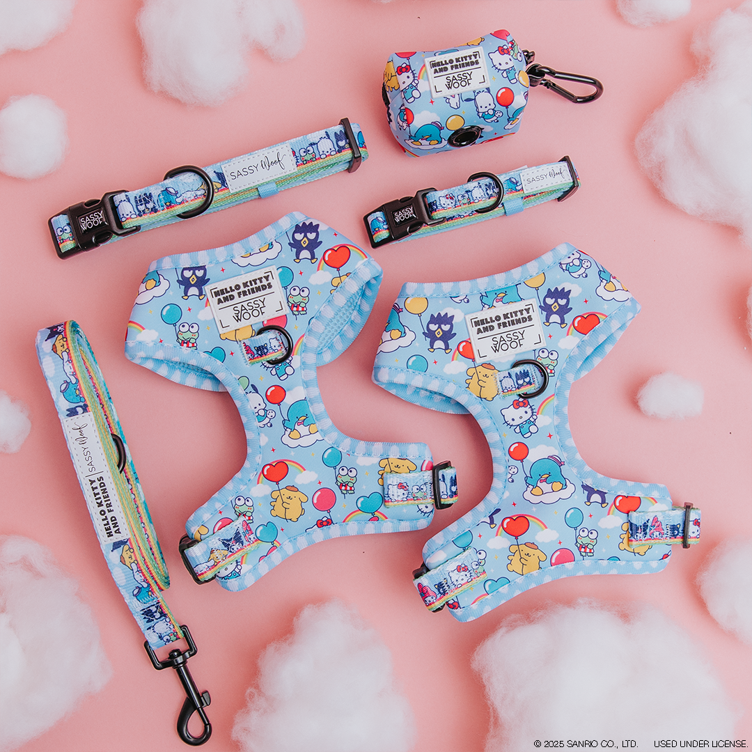 Colorful Sanrio-themed dog accessories, including two harnesses, a leash, collars, and a small pouch, are arranged on a pink background with cotton clouds. The designs feature Sassy Cinnamoroll characters.